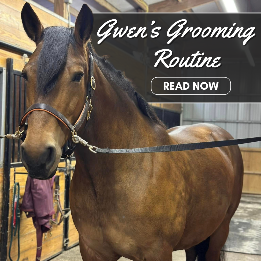 Gwen's Grooming Routine