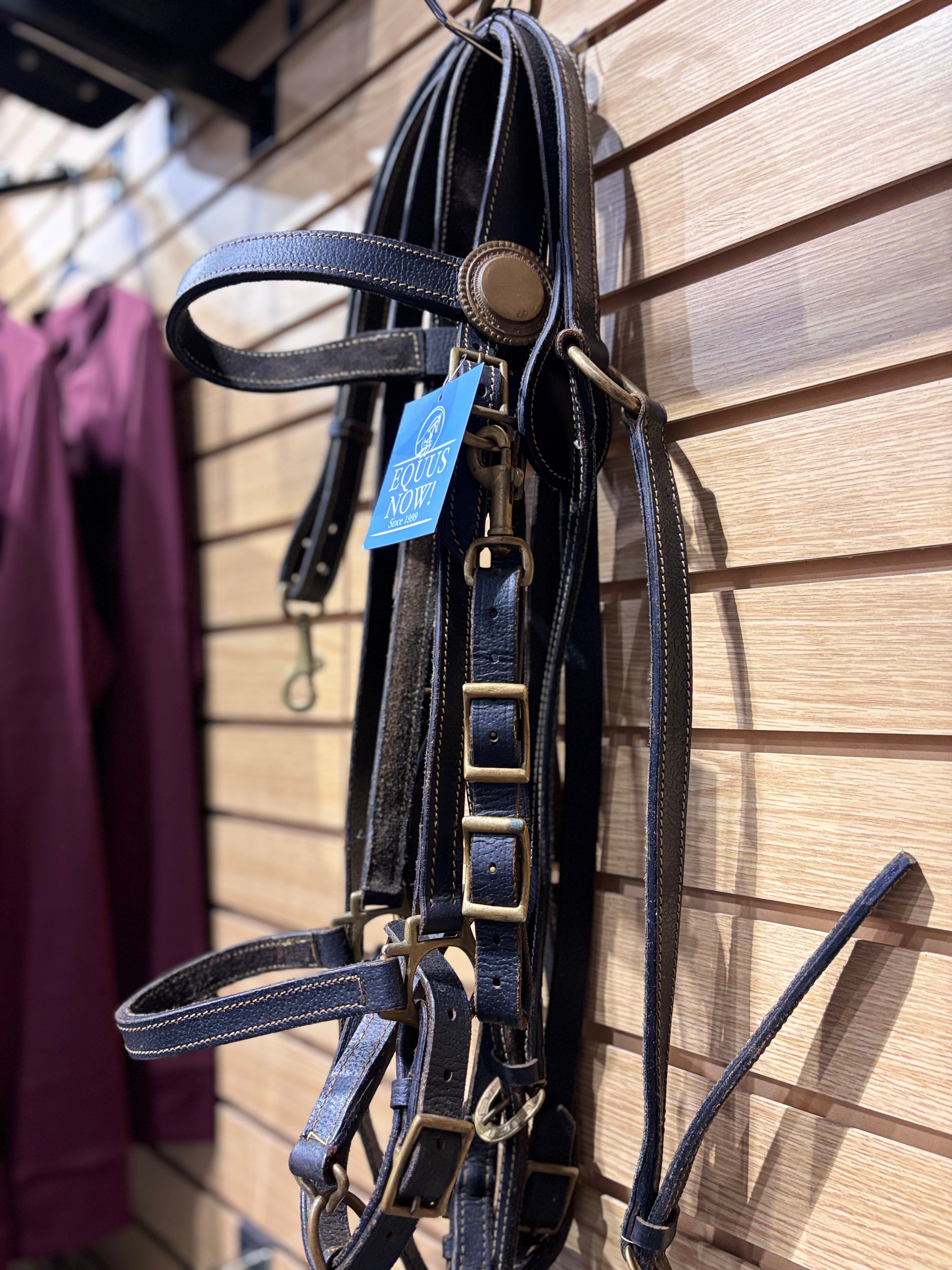 Used Brown Halter/Bridle Combo with Breastplate Set
