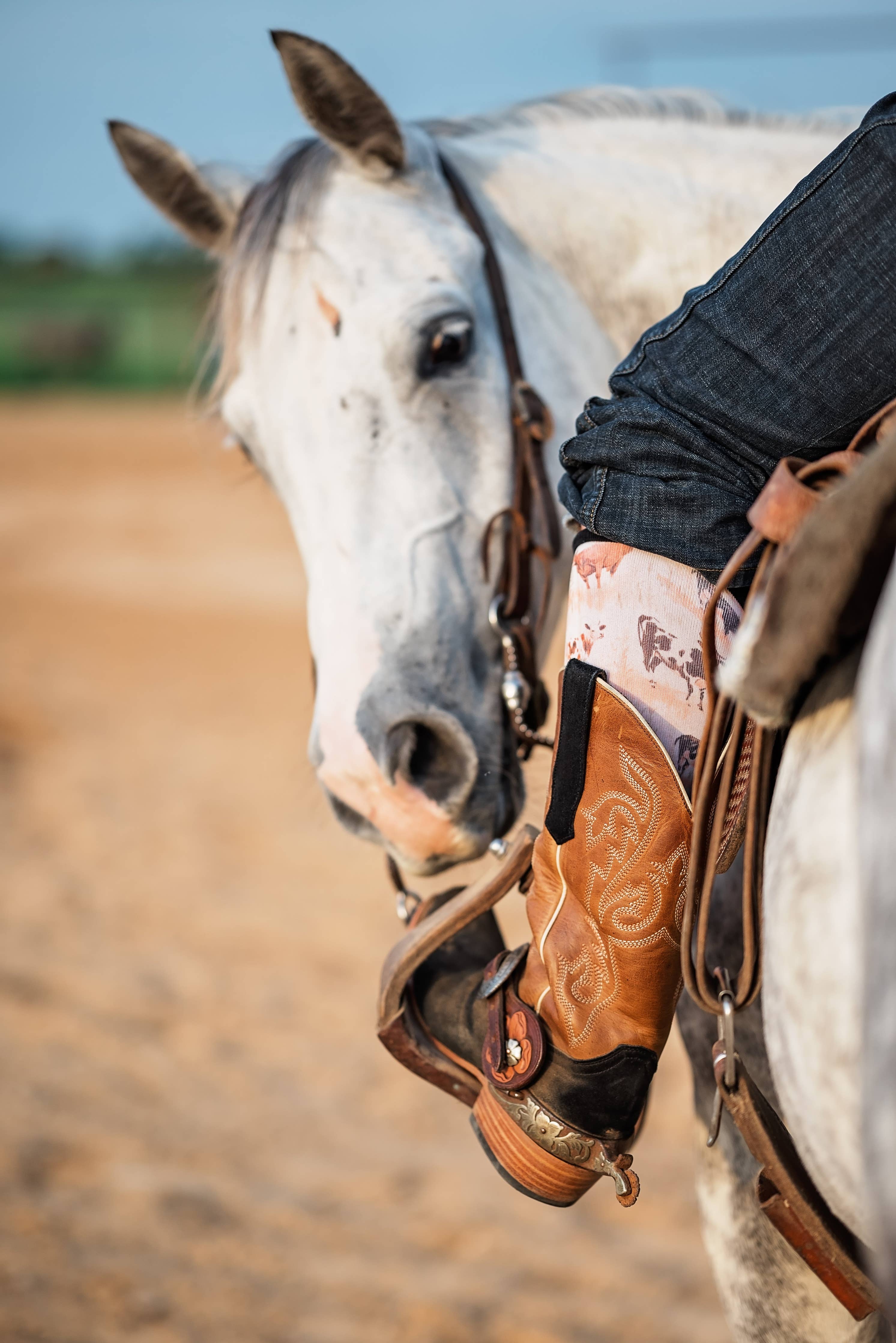 Red Barn Socks - Moo'd Boost