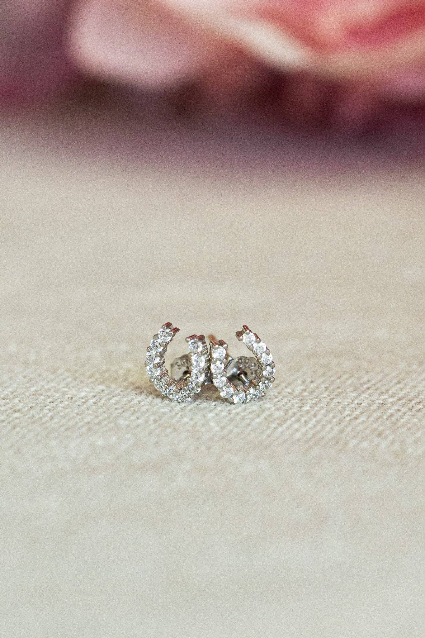 Bridle Up Hope Shop - Luxe Horseshoe Earrings