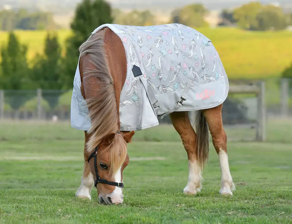Saxon 600D Pony Standard Neck Lite Turnout Sheet