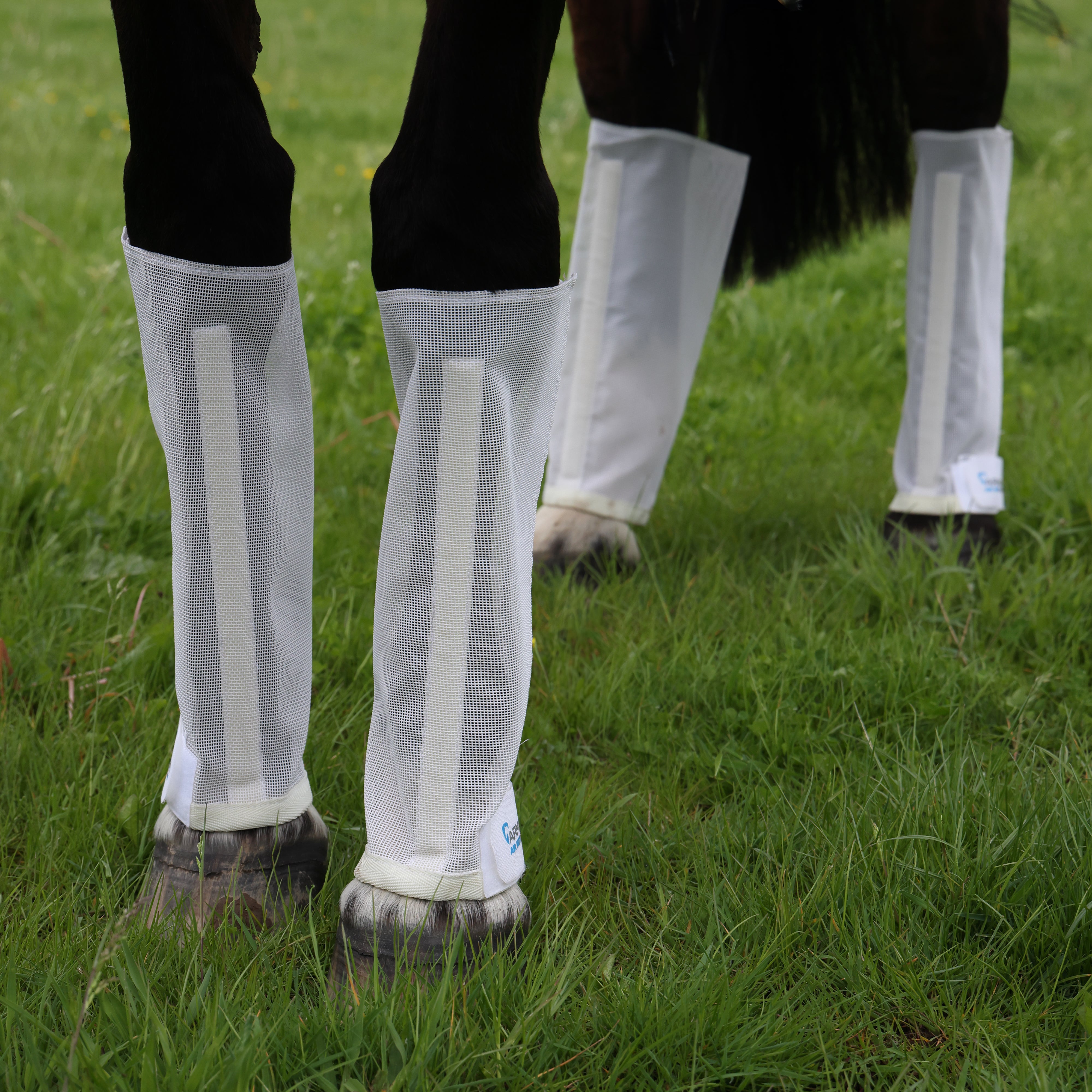ARMA Mesh Fly Boots