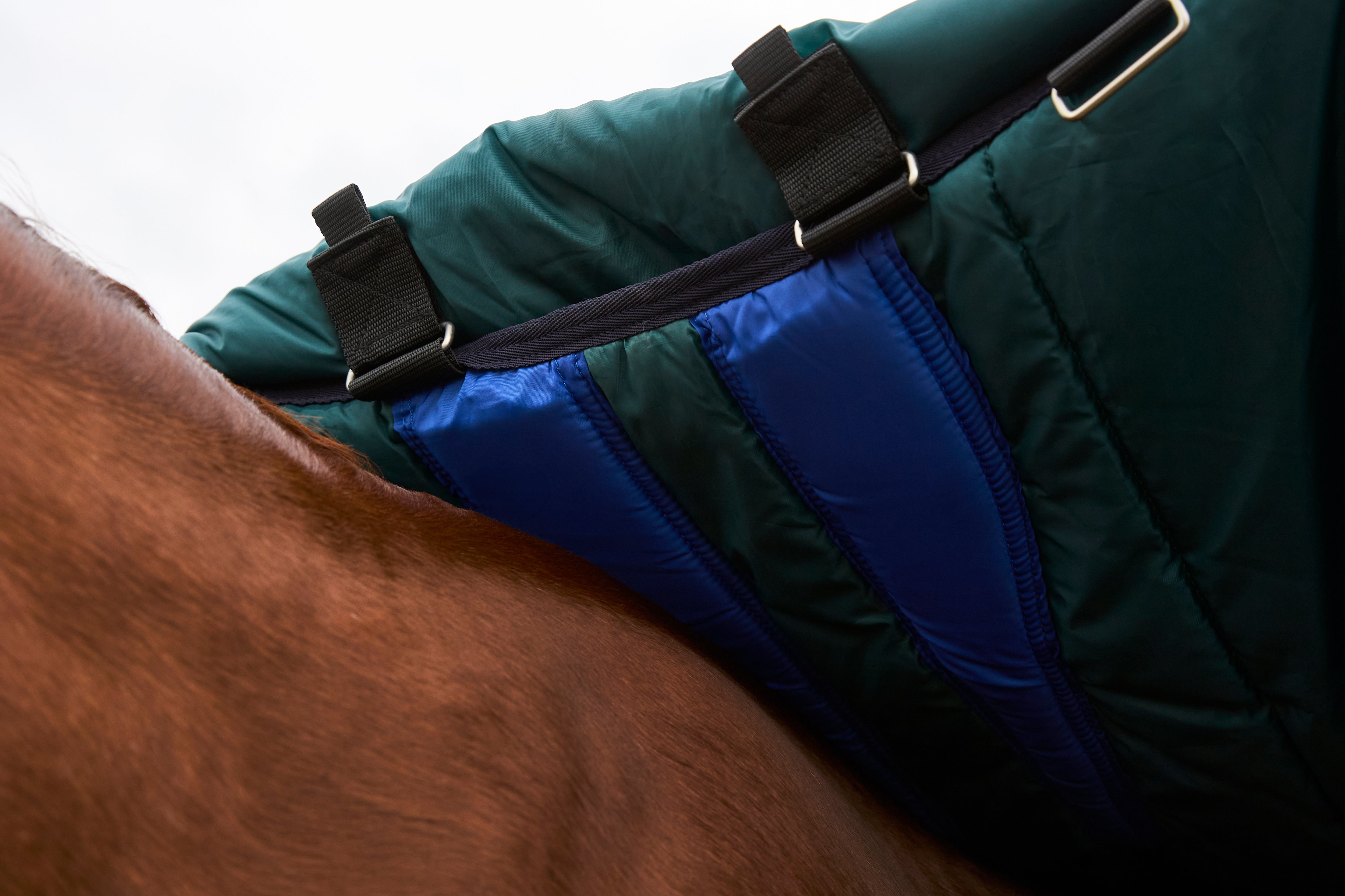 Weatherbeeta Comfitec Plus Dynamic Turnout Detach-A-Neck 220G