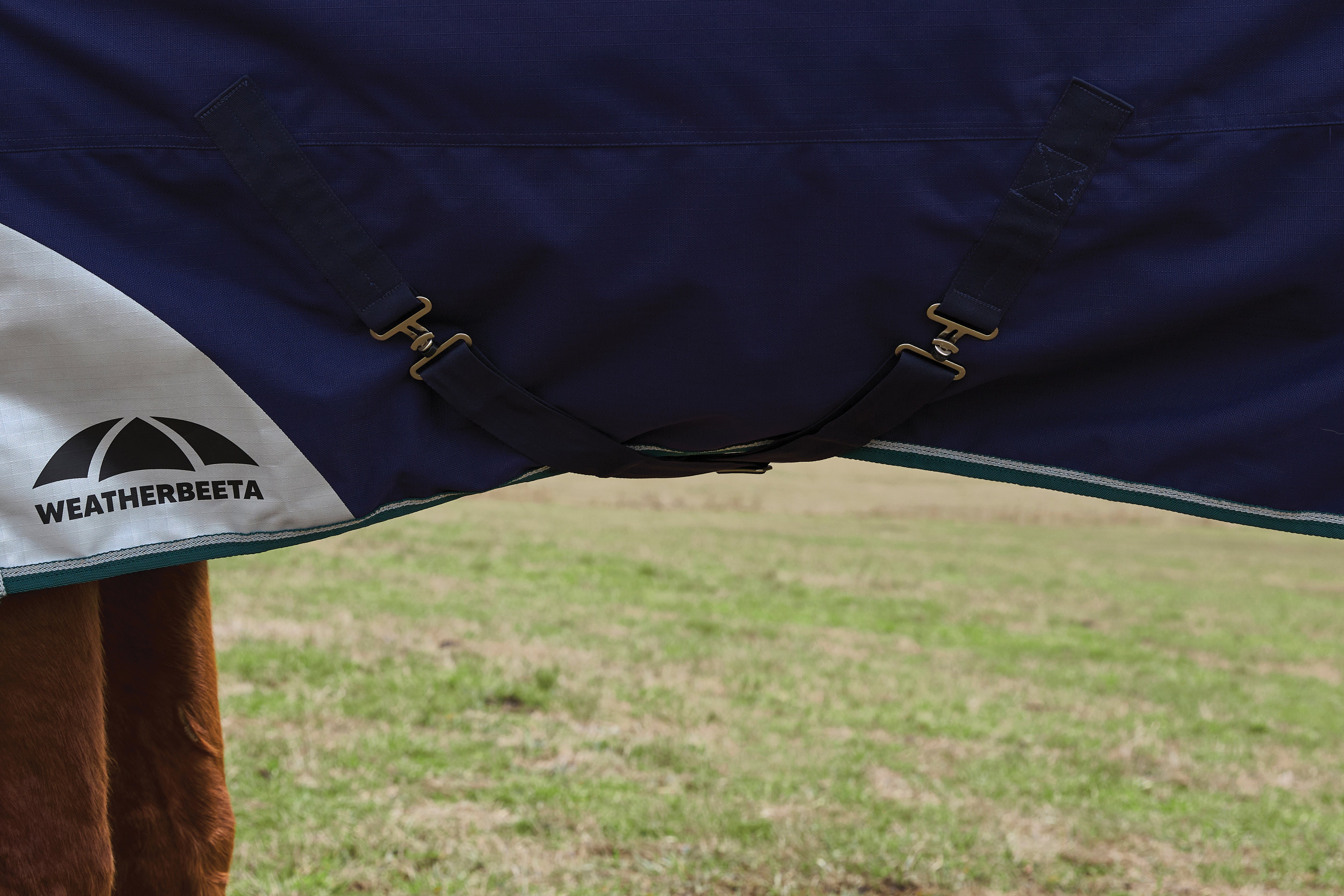 Weatherbeeta Comfitec Plus Dynamic Turnout Detach-A-Neck 220G