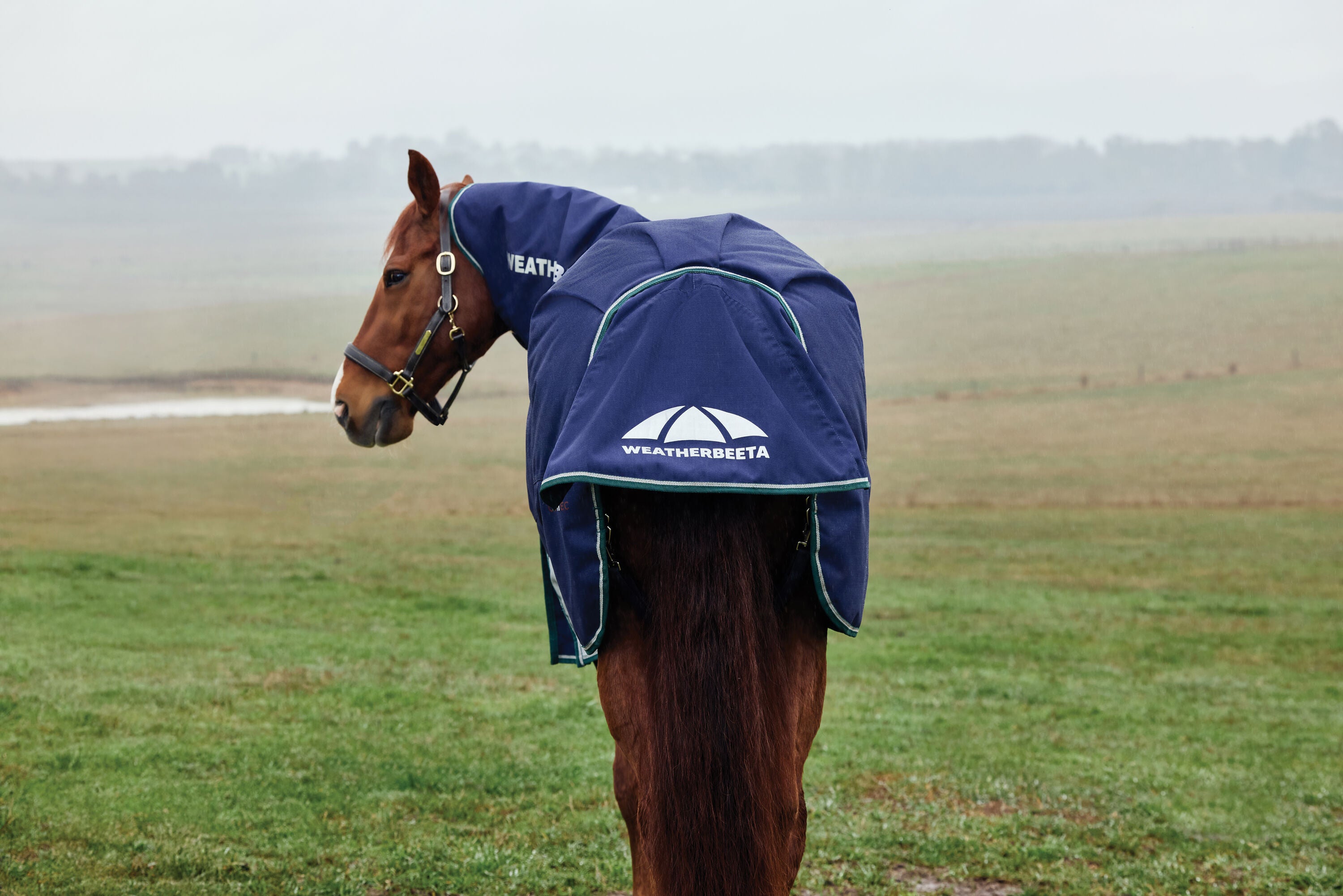 Weatherbeeta Comfitec Plus Dynamic Turnout Detach-A-Neck 360G