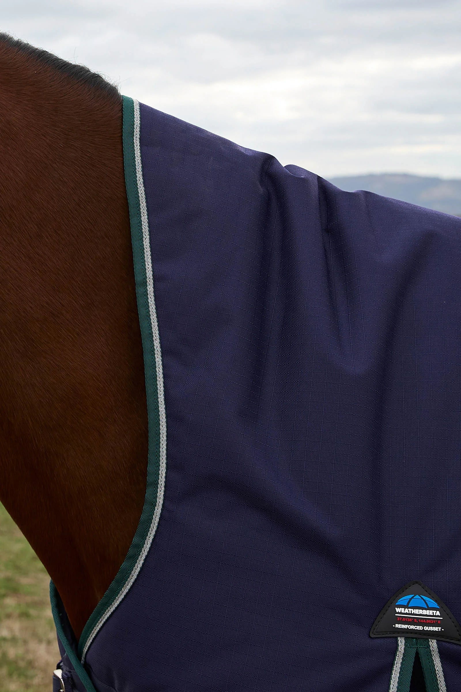 #color_Navy/Forest Green