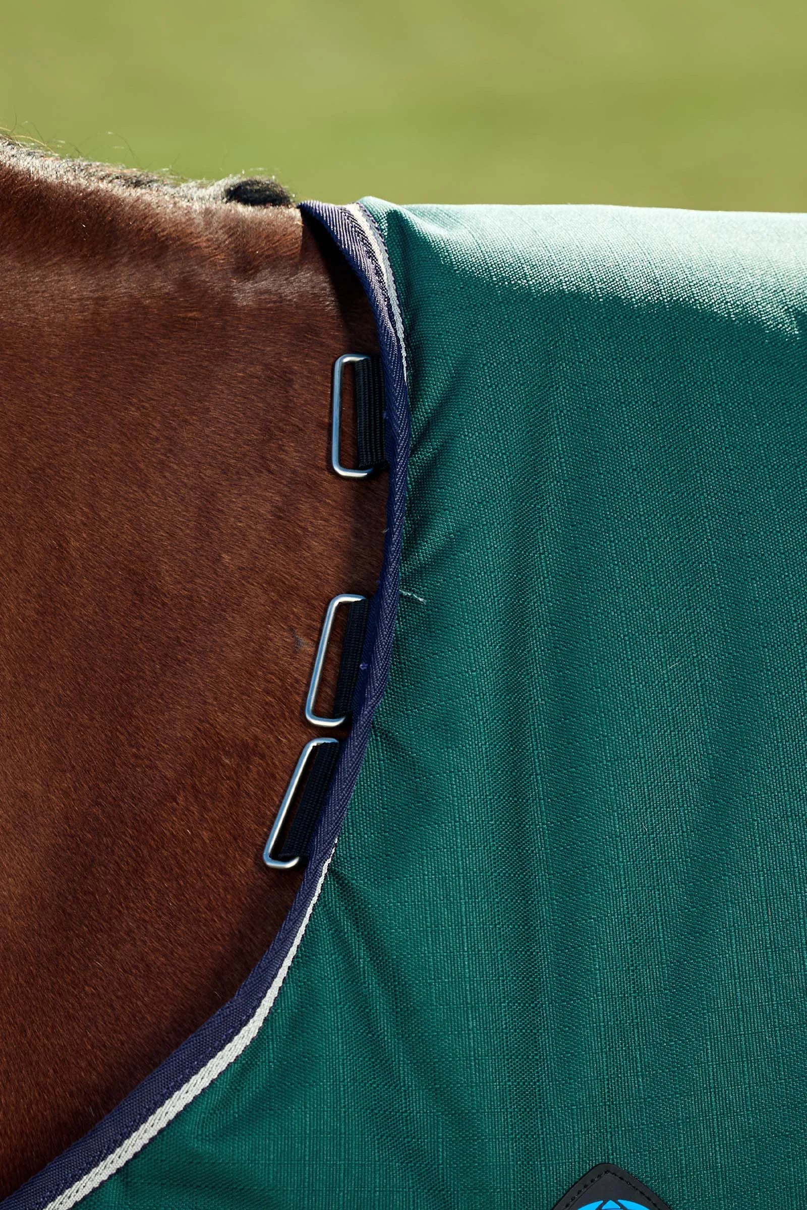 #color_Forest Green/Navy