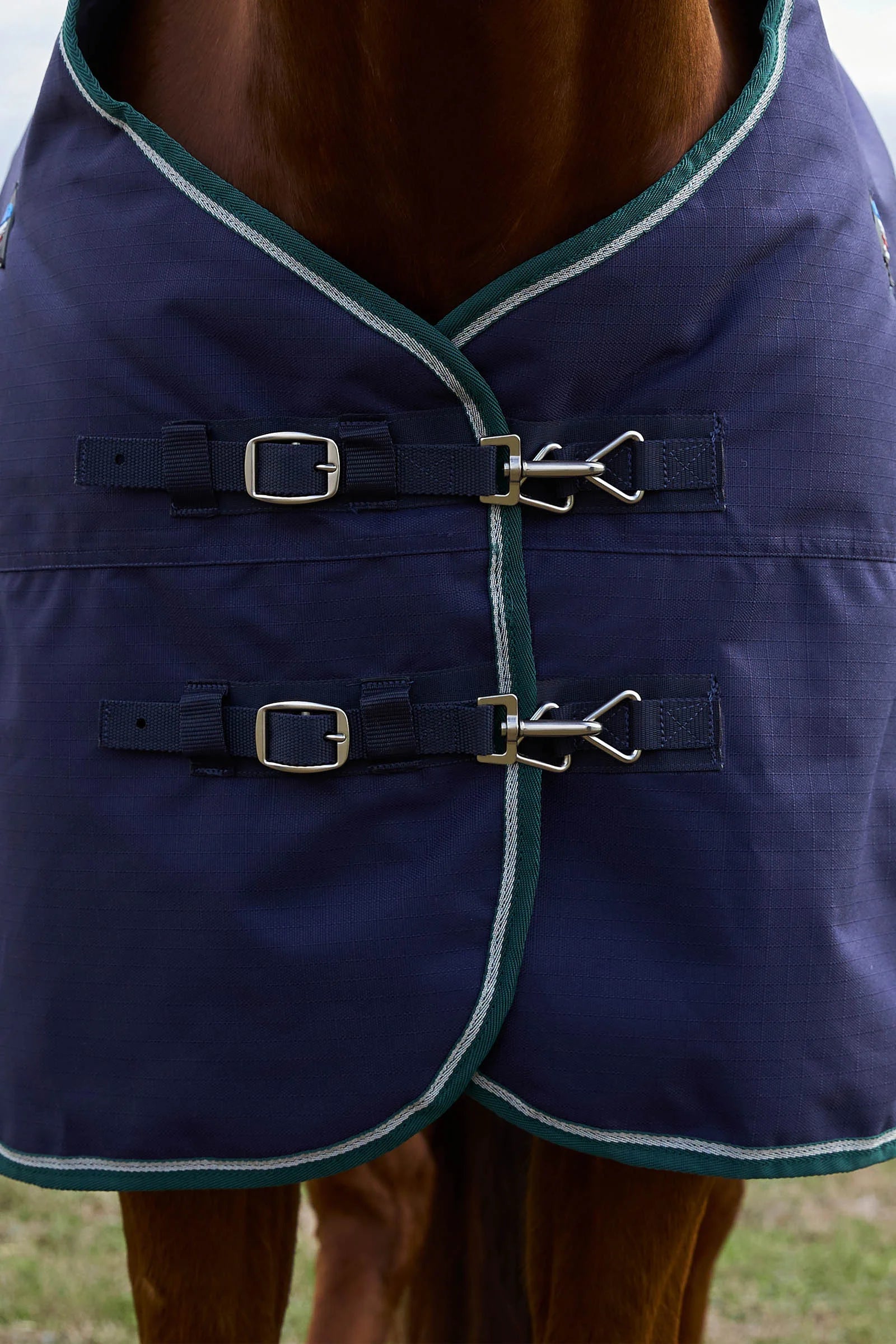 #color_Navy/Forest Green