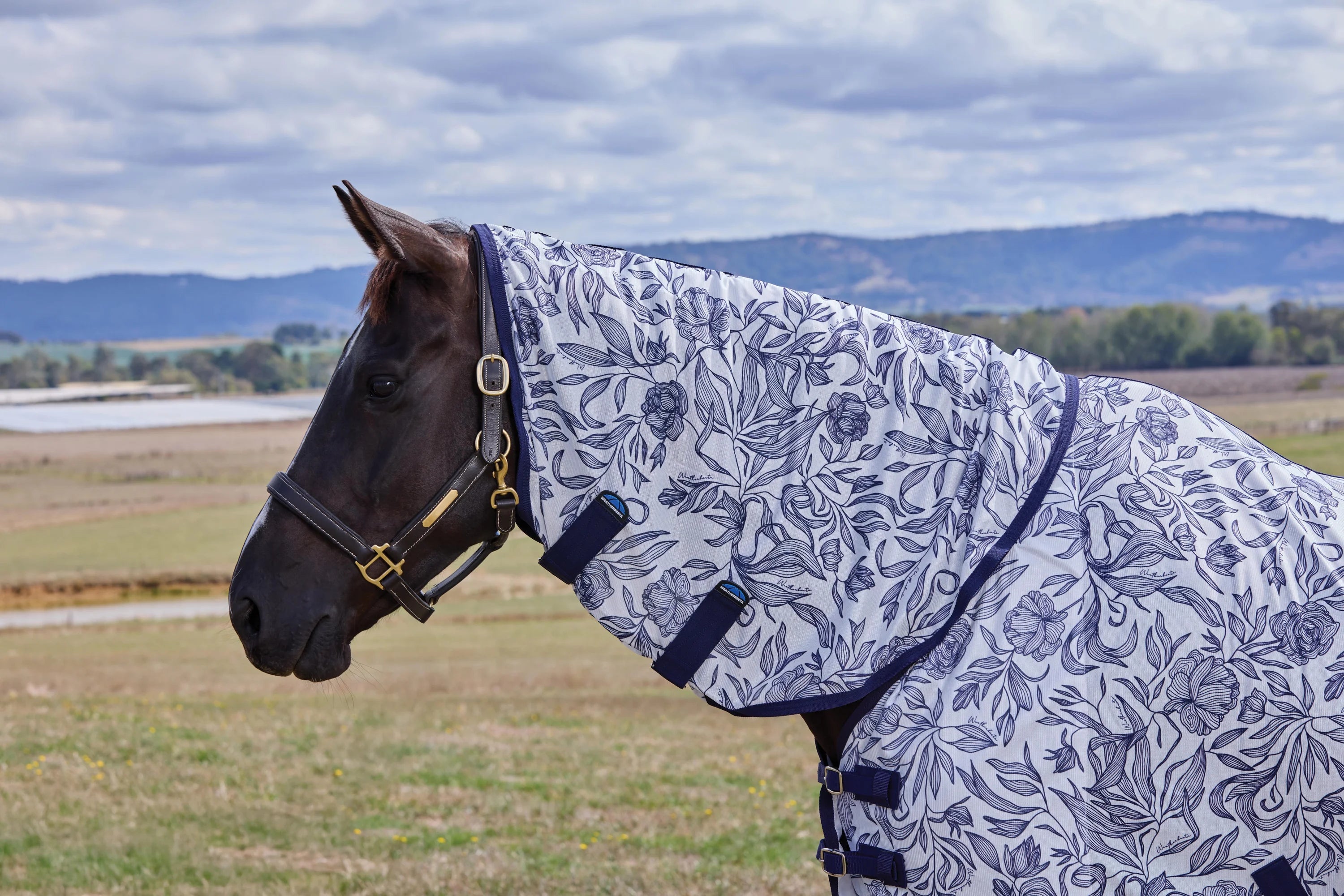 Weatherbeeta Comfitec Limited Edition Fly Sheet Combo