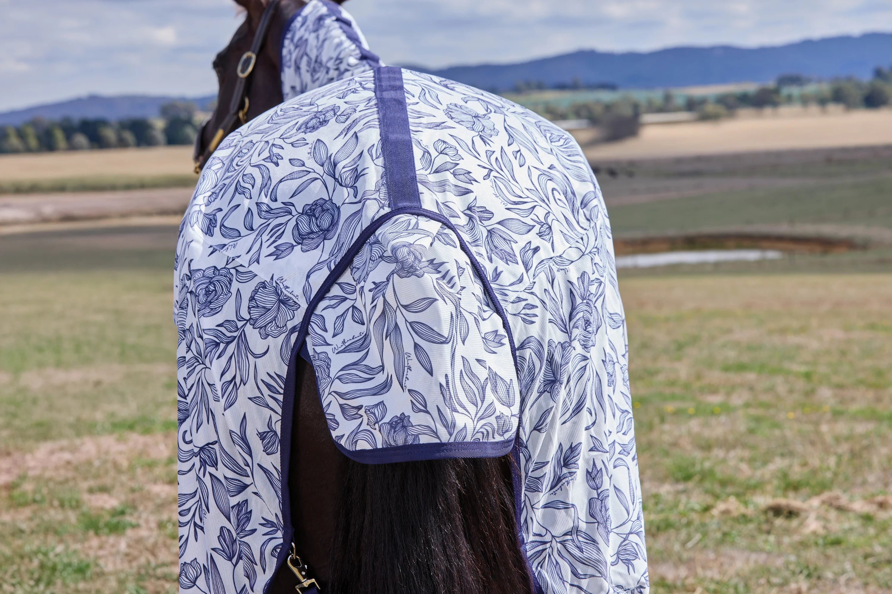 Weatherbeeta Comfitec Limited Edition Fly Sheet Combo