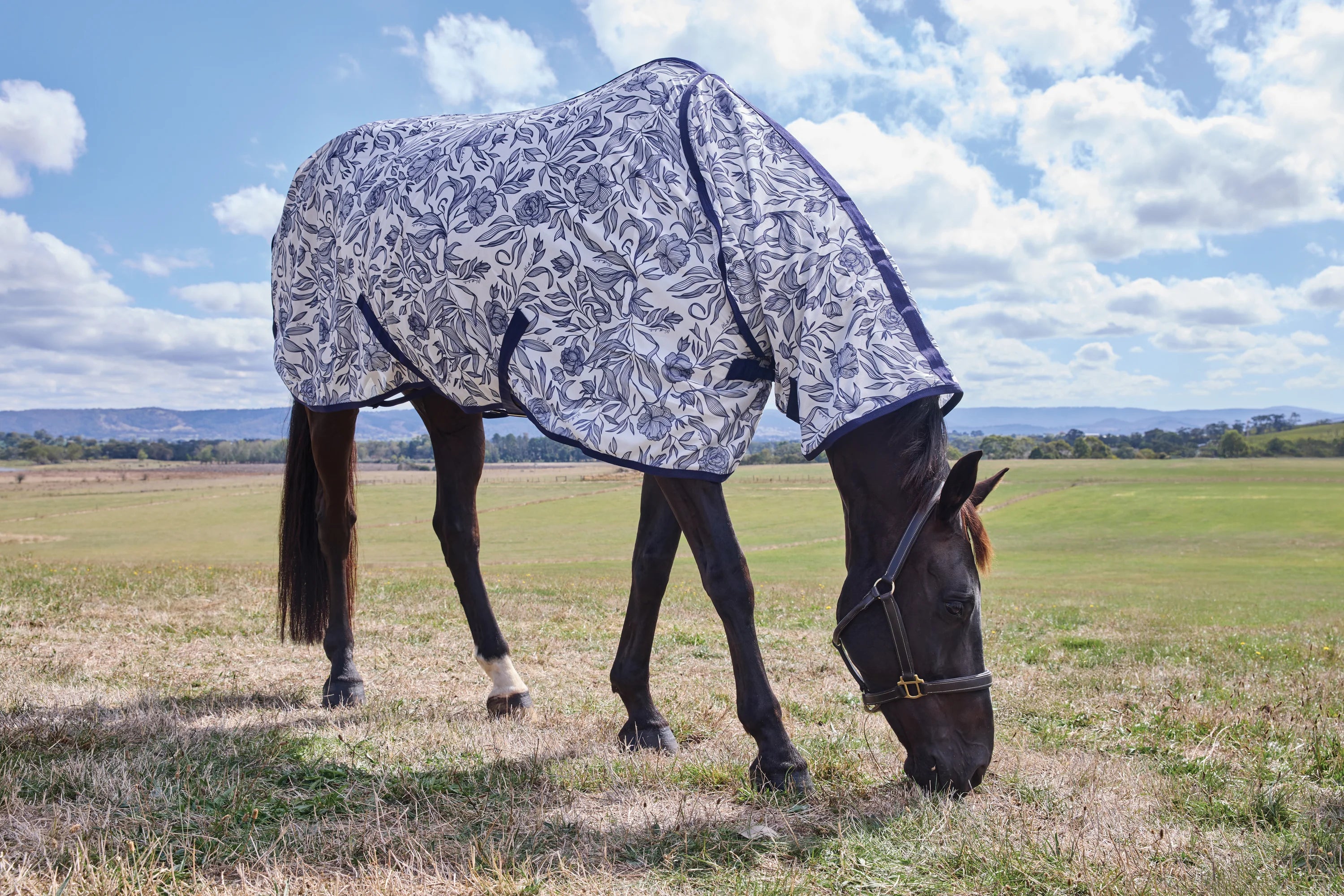 Weatherbeeta Comfitec Limited Edition Fly Sheet Combo