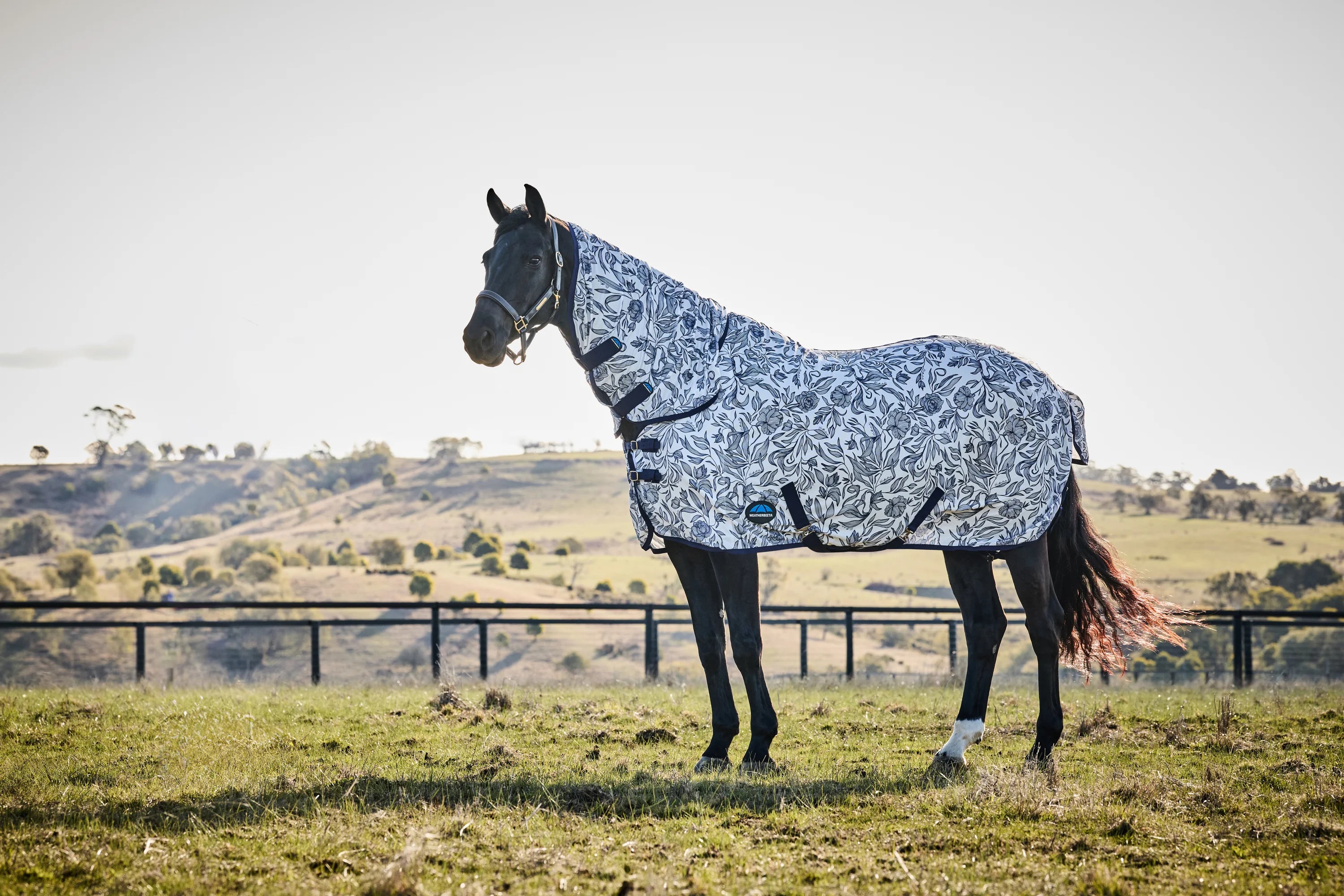 Weatherbeeta Comfitec Limited Edition Fly Sheet Combo