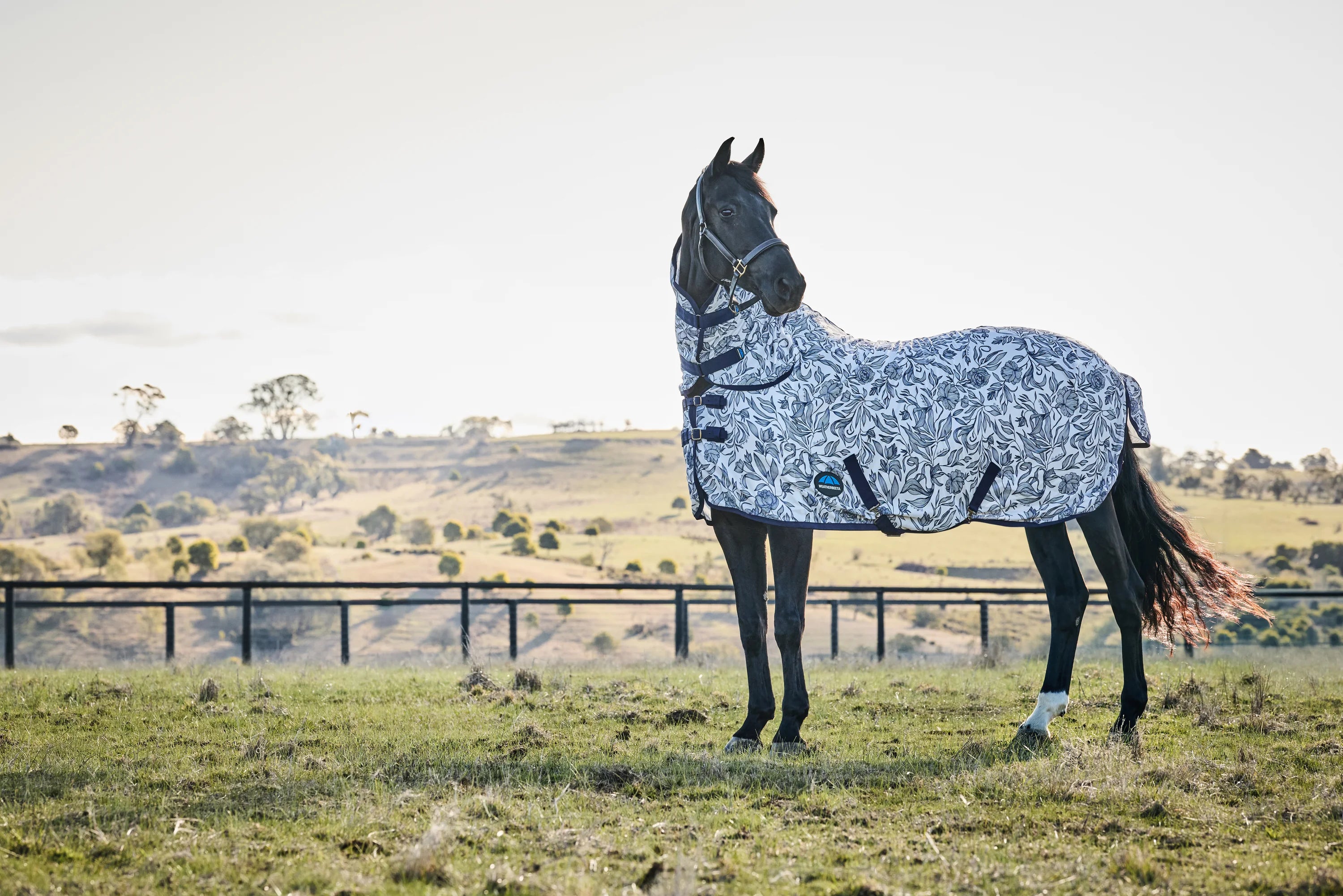 Weatherbeeta Comfitec Limited Edition Fly Sheet Combo