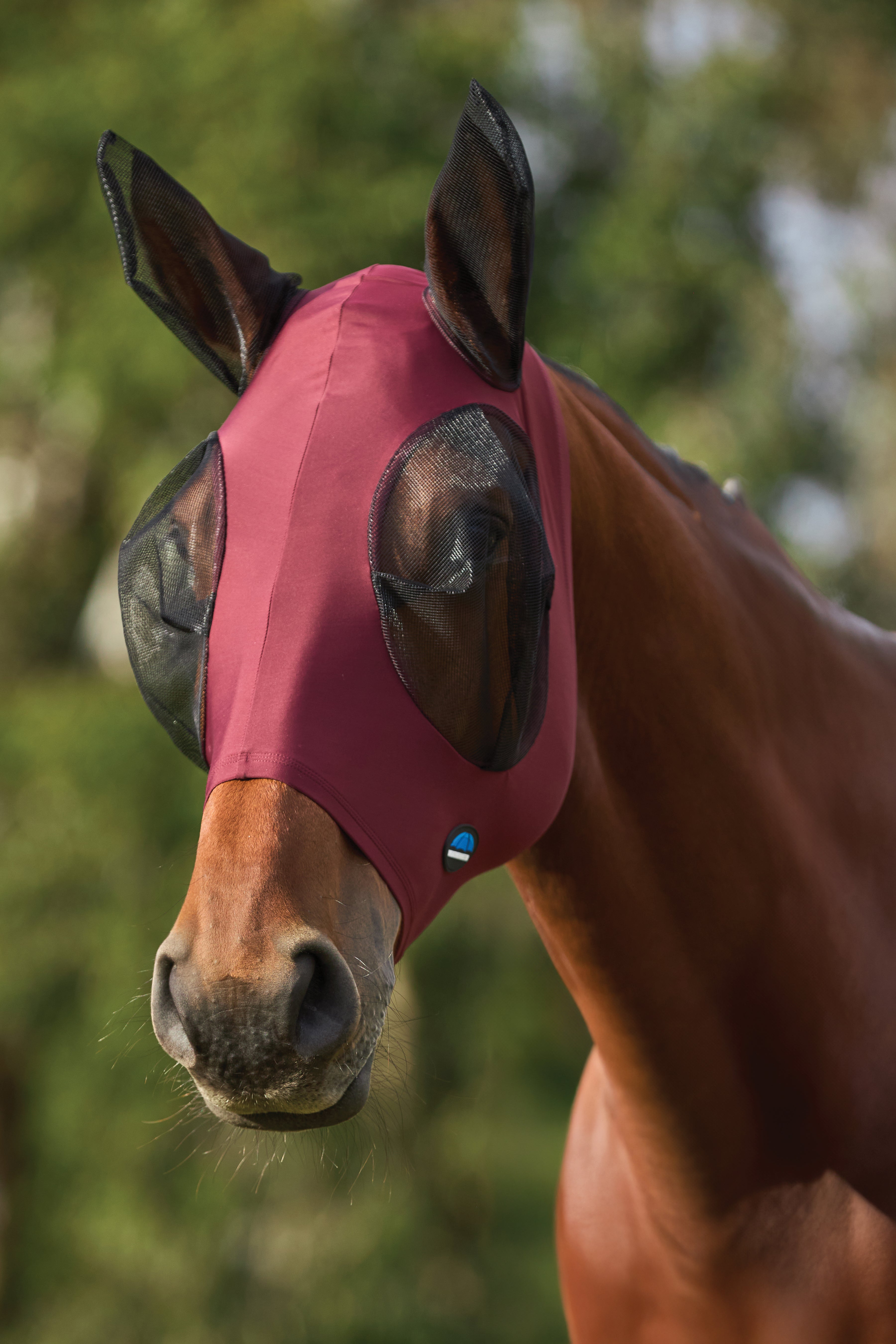 #color_burgundy/black