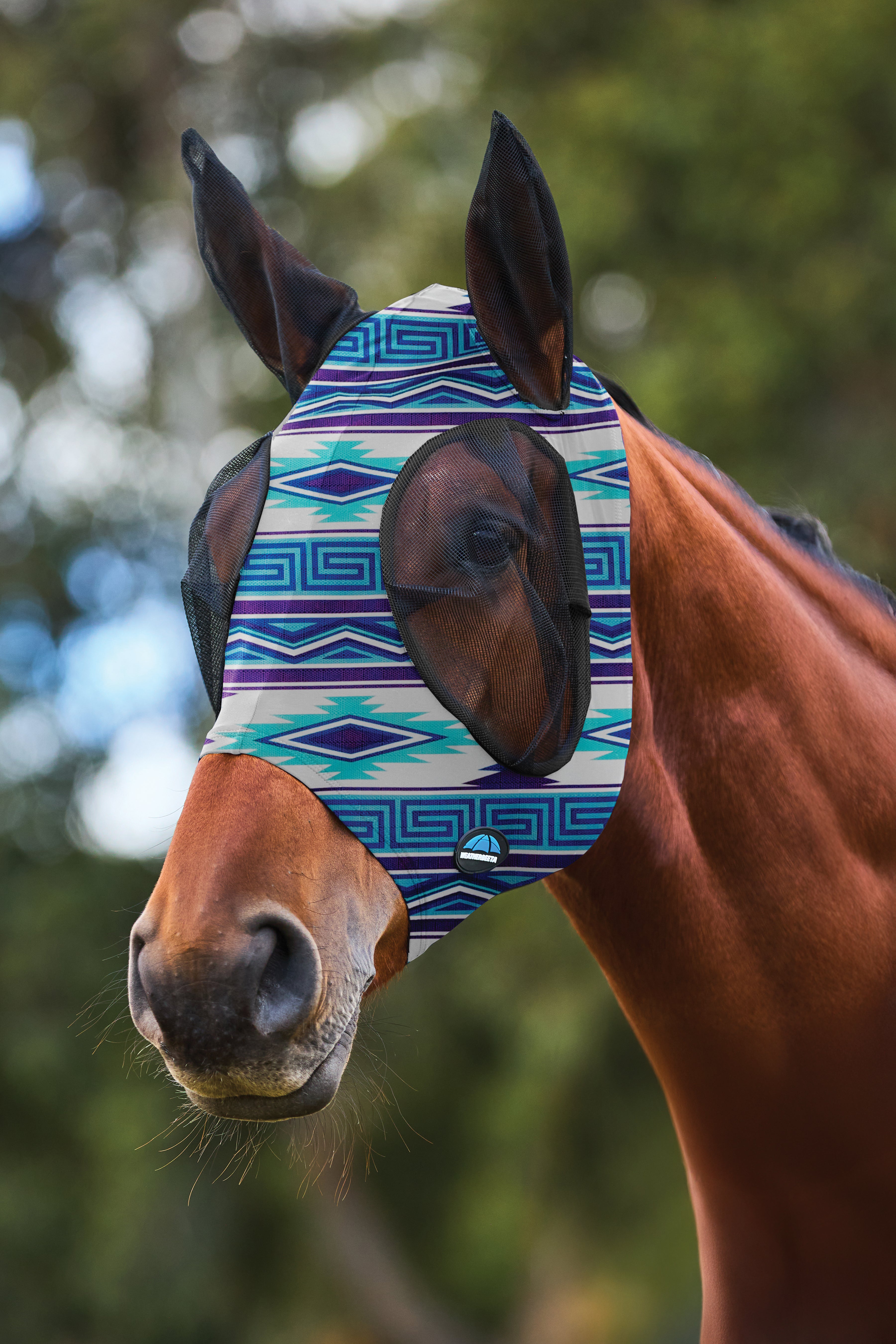 #color_Purple Navajo Print