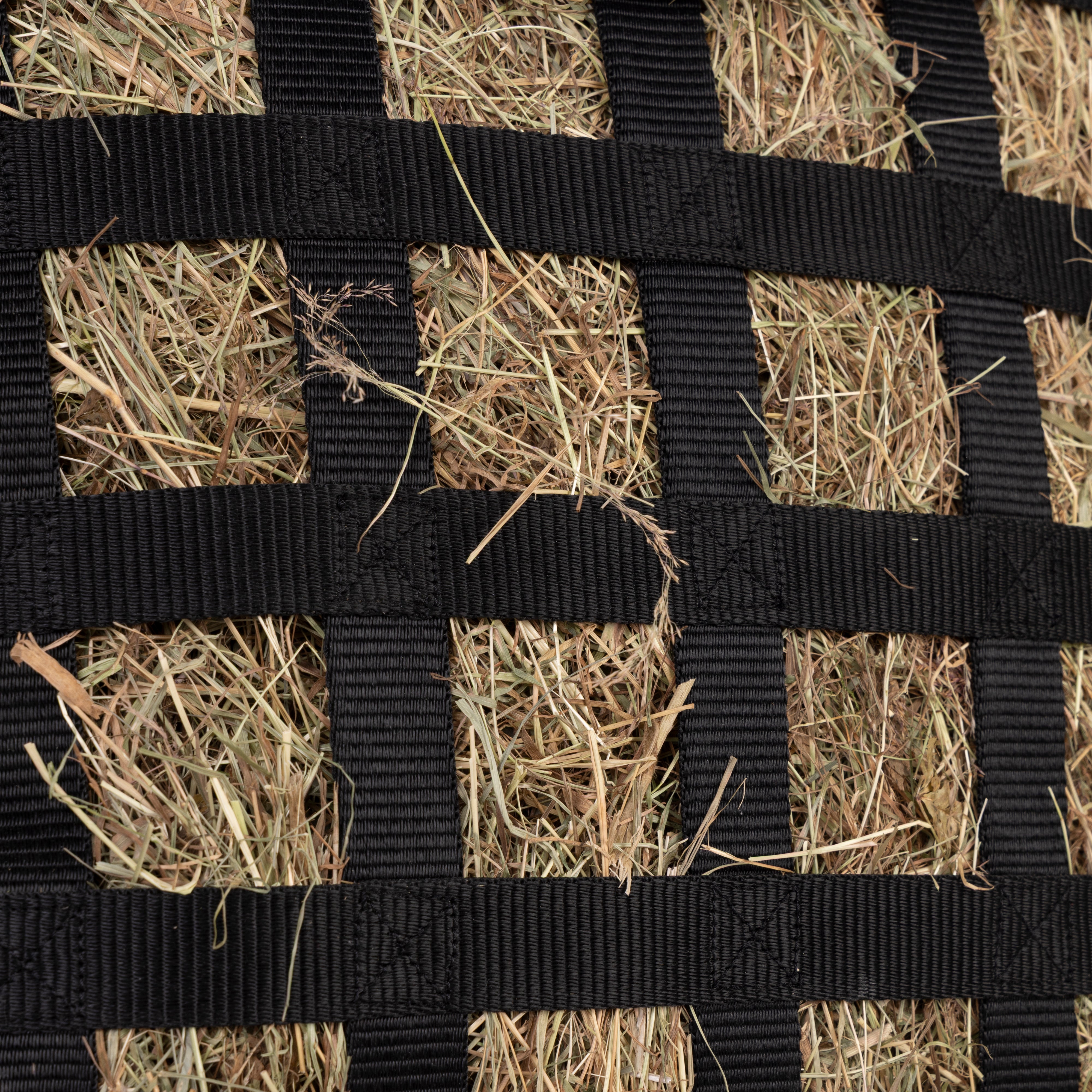 FreeGraze Deluxe Web Hay Bag