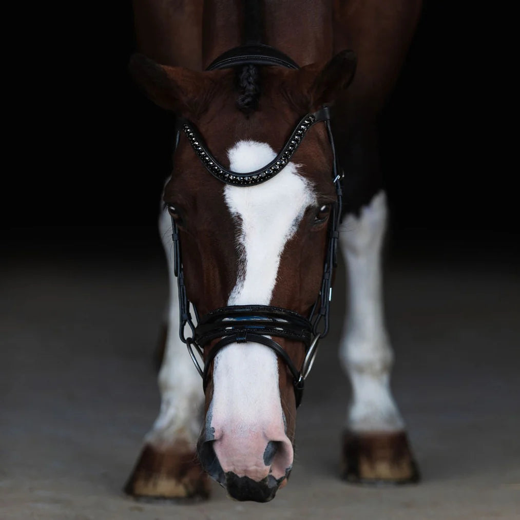 Lumiere Arcadia Luxury Leather Bridle Hanovarian