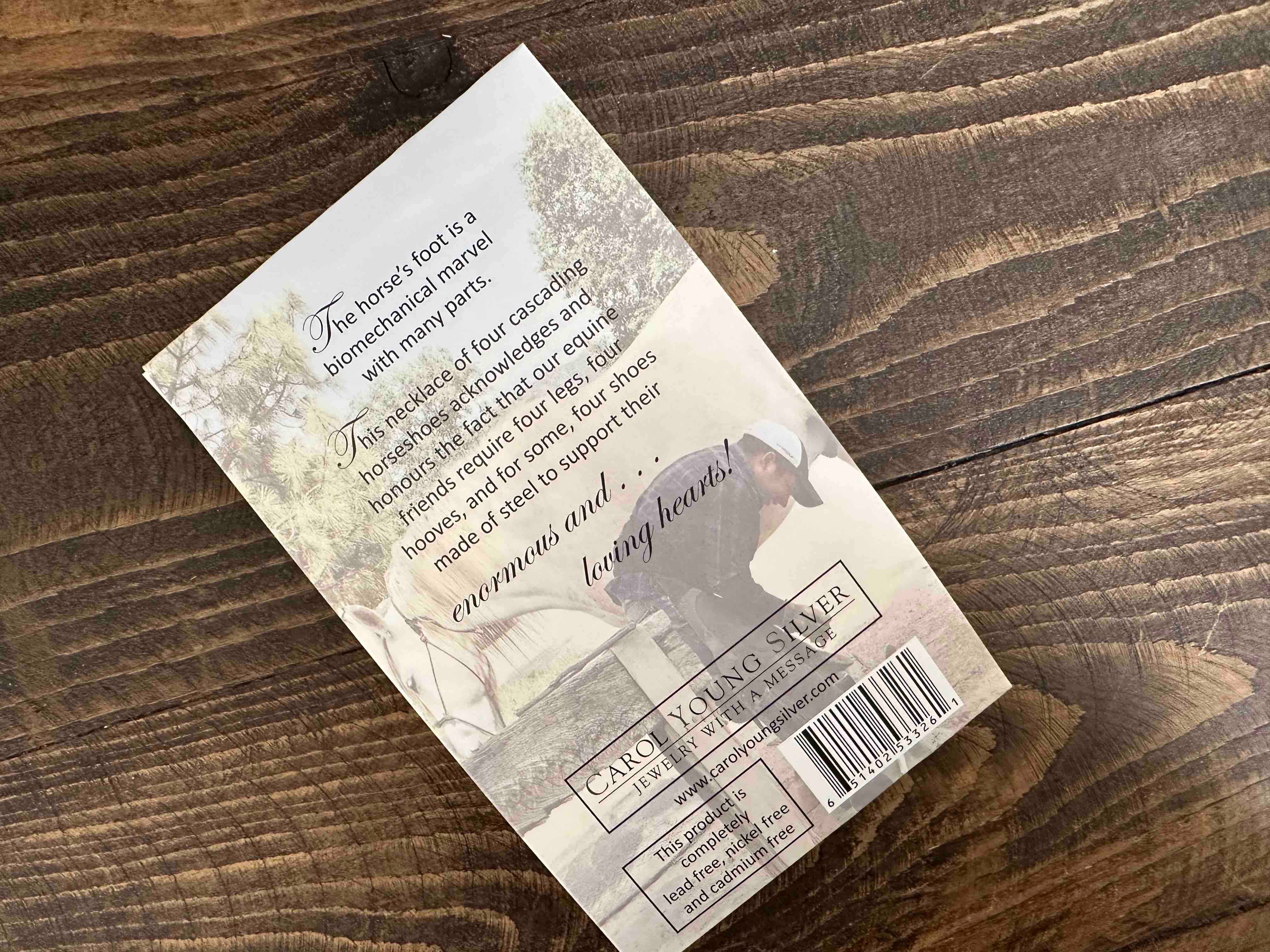 Horseshoe Petite Necklace with Aqua Crystals