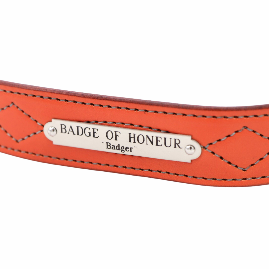 Ornamental Belt Plate
