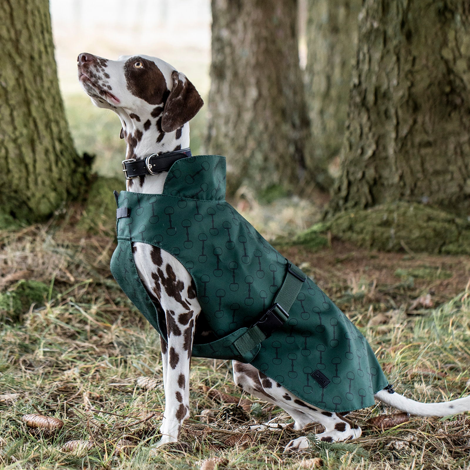 Sale Horze Noir Dog Waterproof Coat