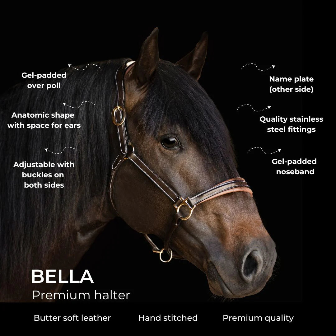 Lumiere Bella Leather Halter