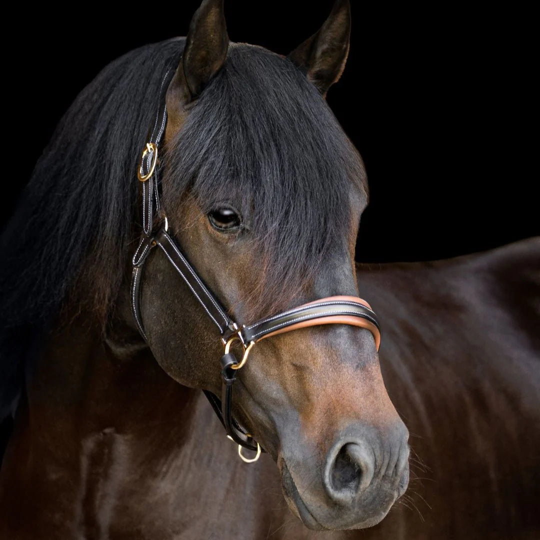 Lumiere Bella Leather Halter