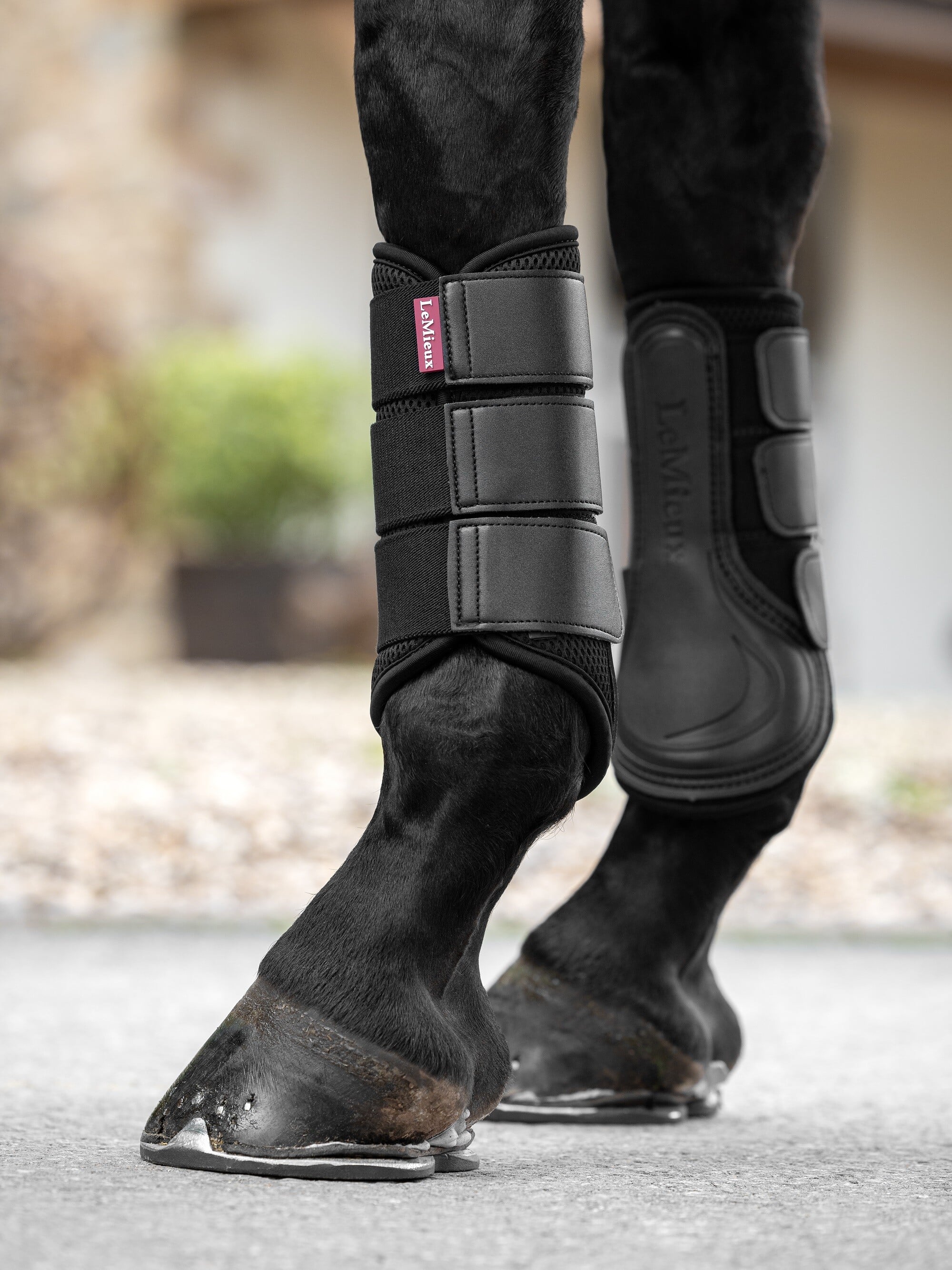 LeMieux Mesh Brushing Boots