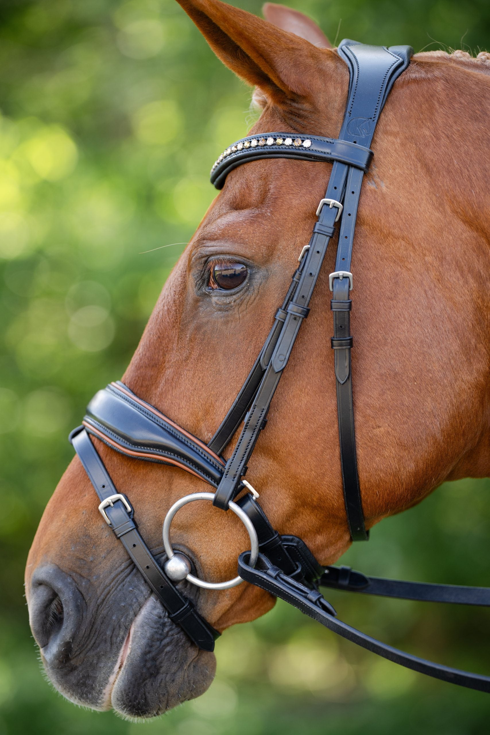 KL Select Elite Dressage Bridle