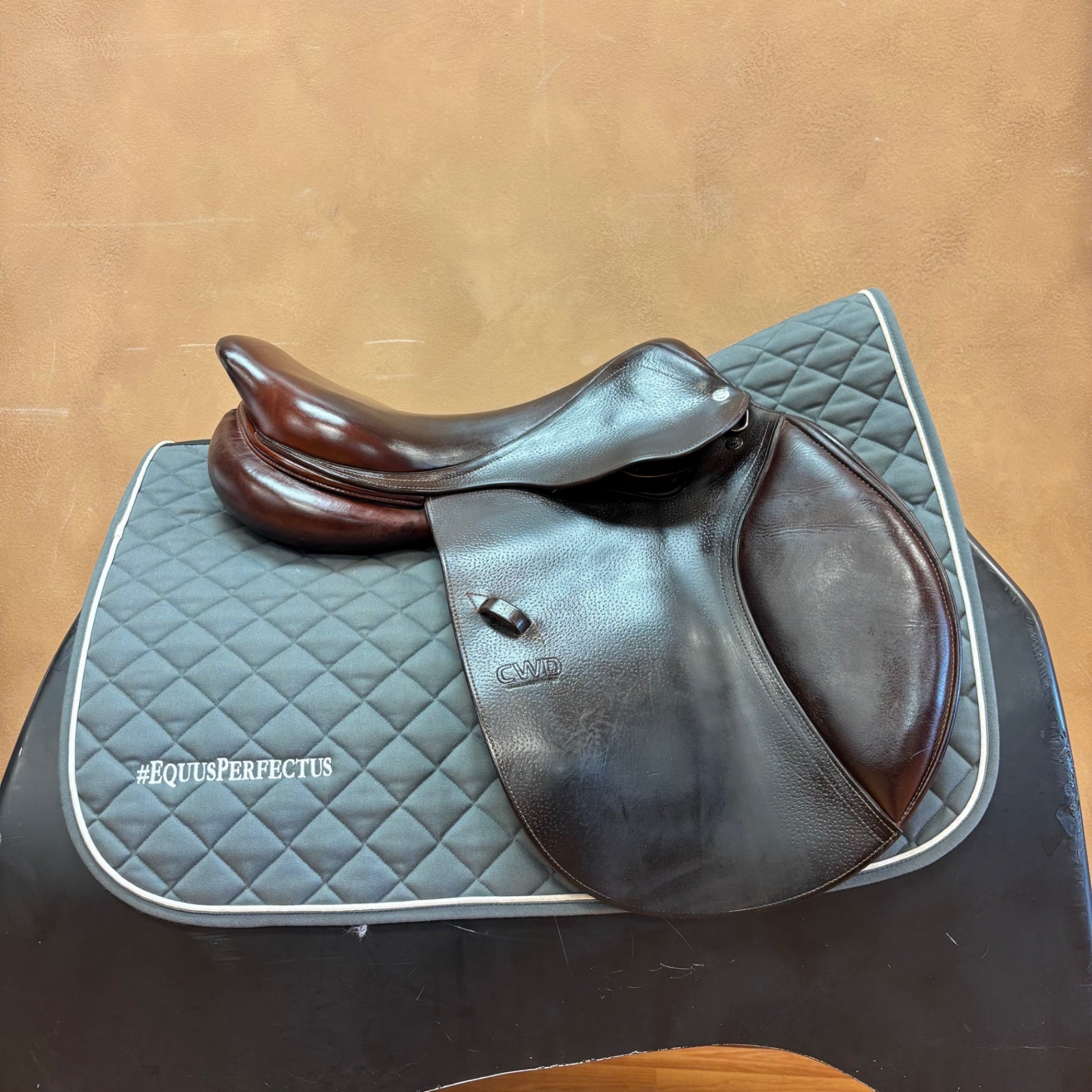 Used CWD SE02 Jump Saddle 16.5" Medium Tree