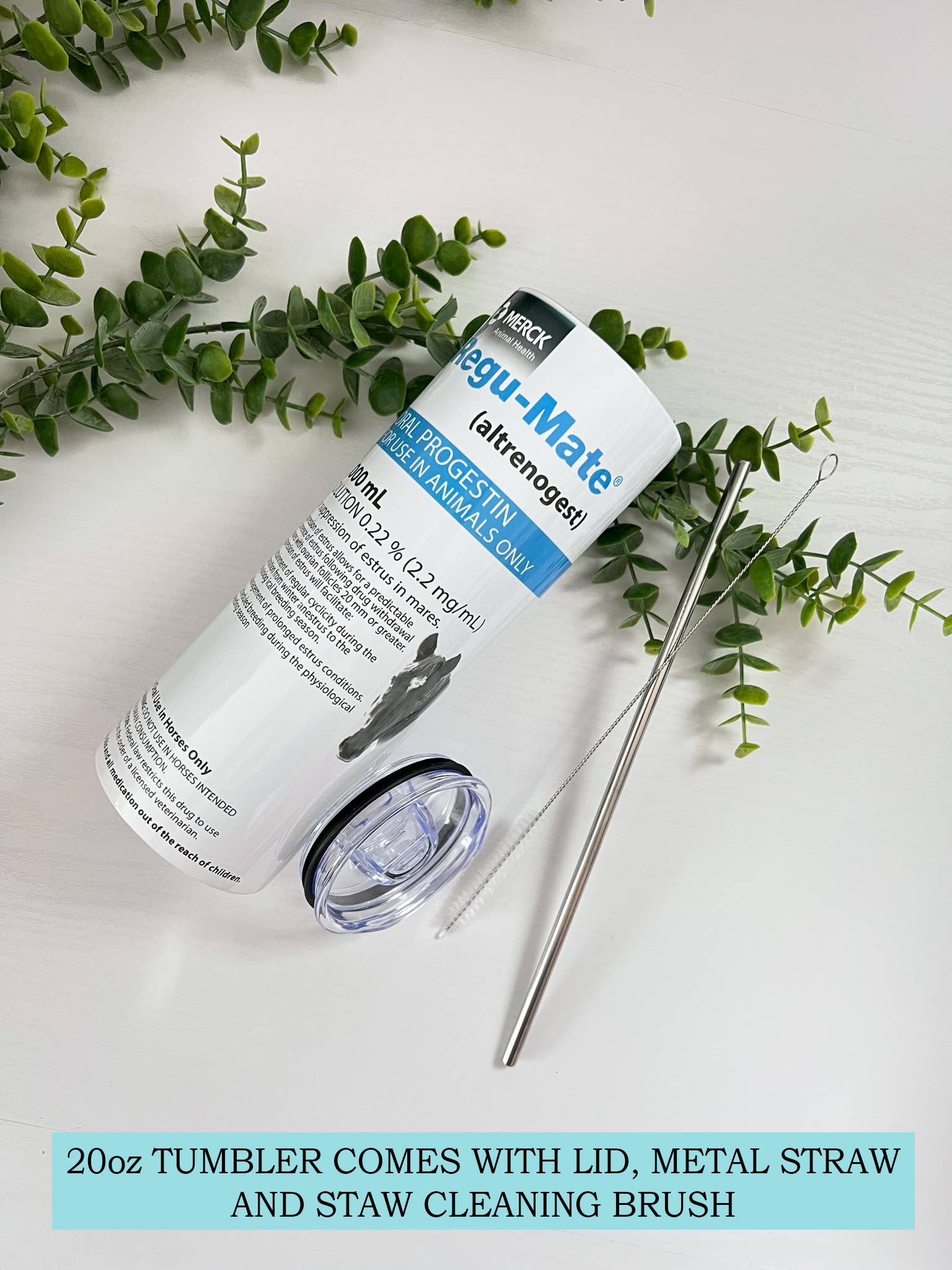 My Fancy Pony - Regumate Vet Med Tumbler or Water Bottle