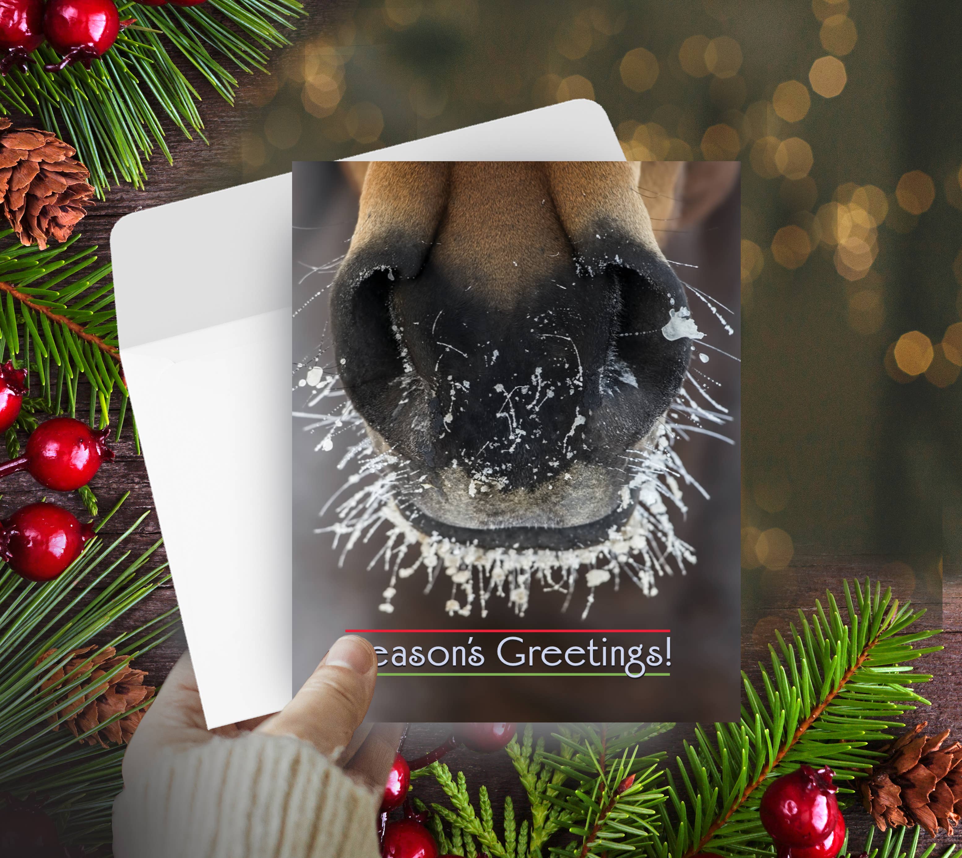 Horse Hollow Press - Horse Christmas Card / Frosty Nose / Holiday Greeting Card