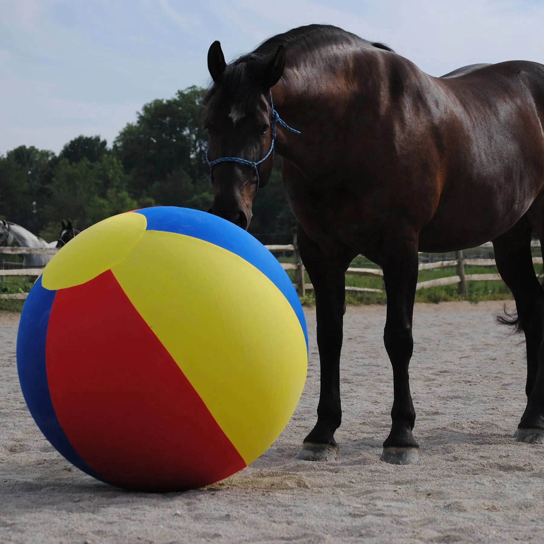 Jolly Mega Ball Cover