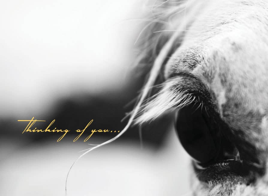 Horse Sympathy Greeting Card / Thinking of You