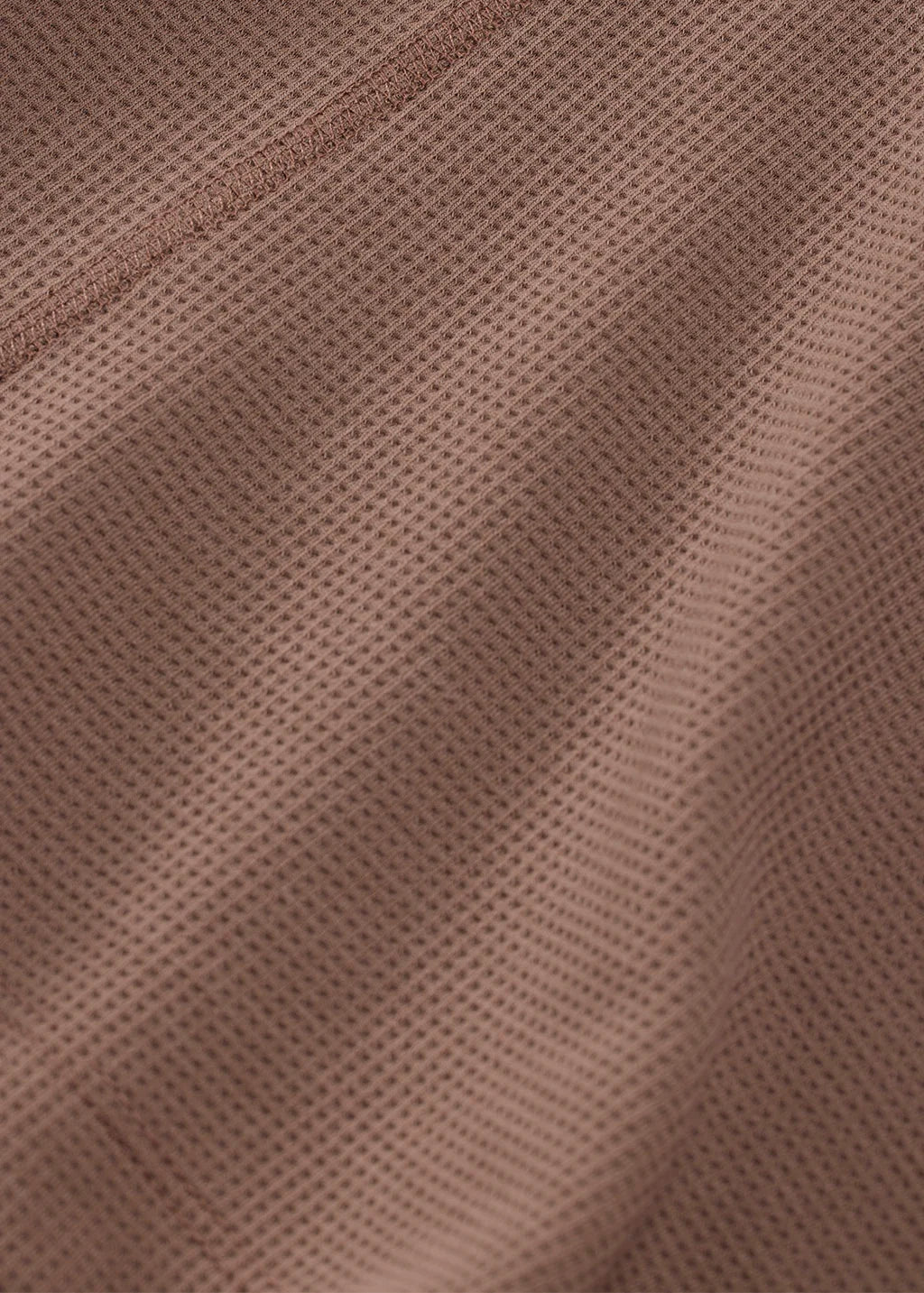 #color_acorn