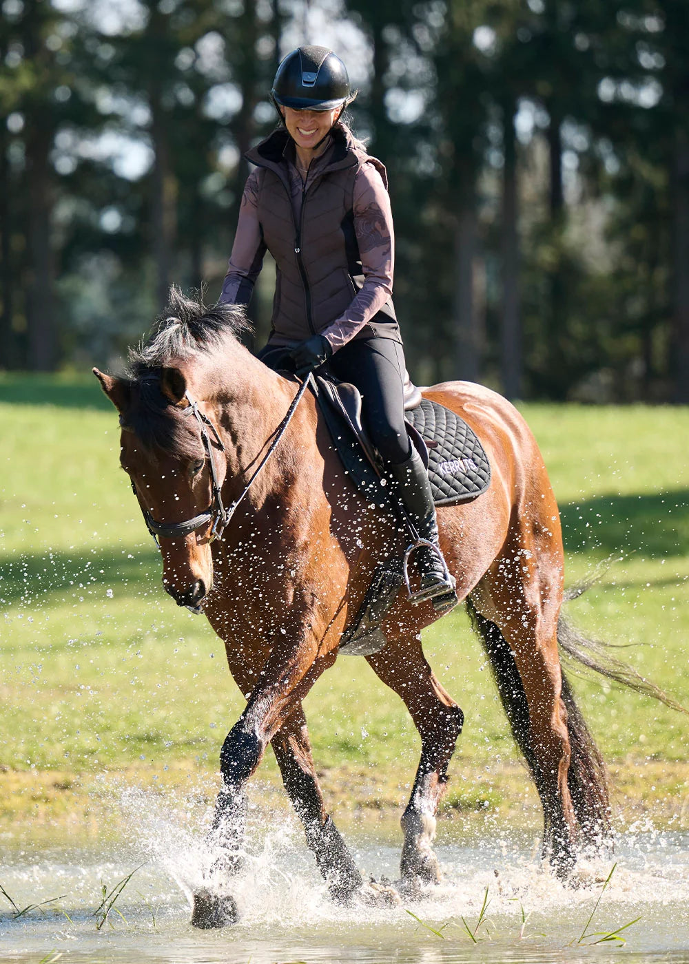 #color_Mocha Giddy Up