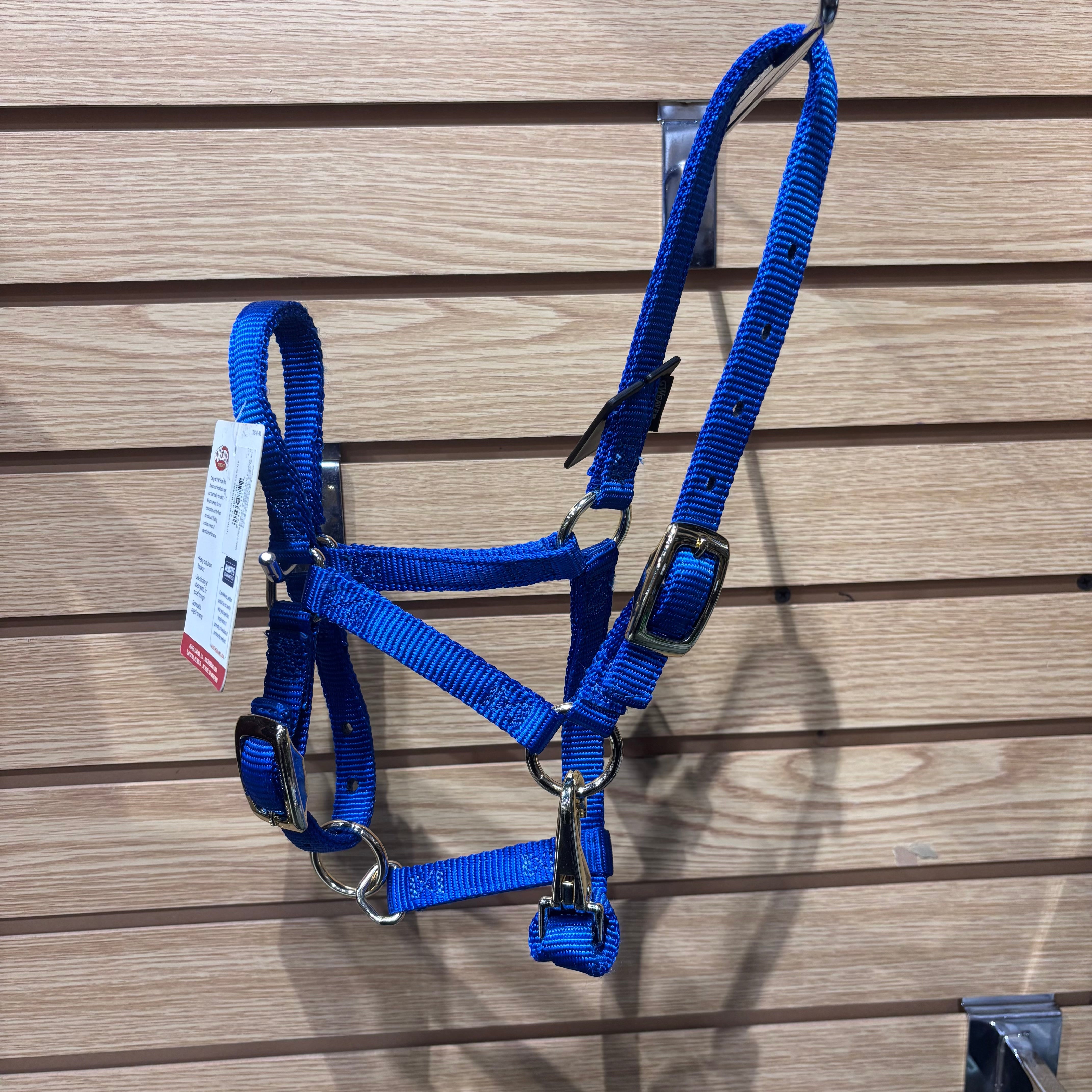 Used Miniature Size Large Blue Nylon Halter