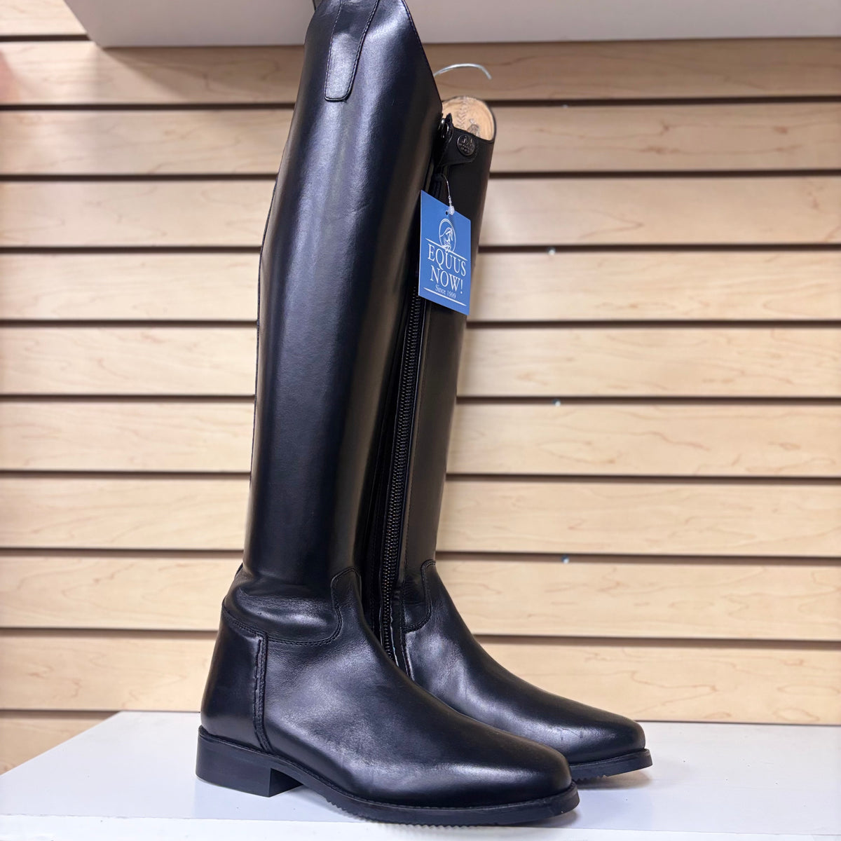 Used Euro 38 Black Mountain Horse Serenade Dressage Boots- Regular/Slim