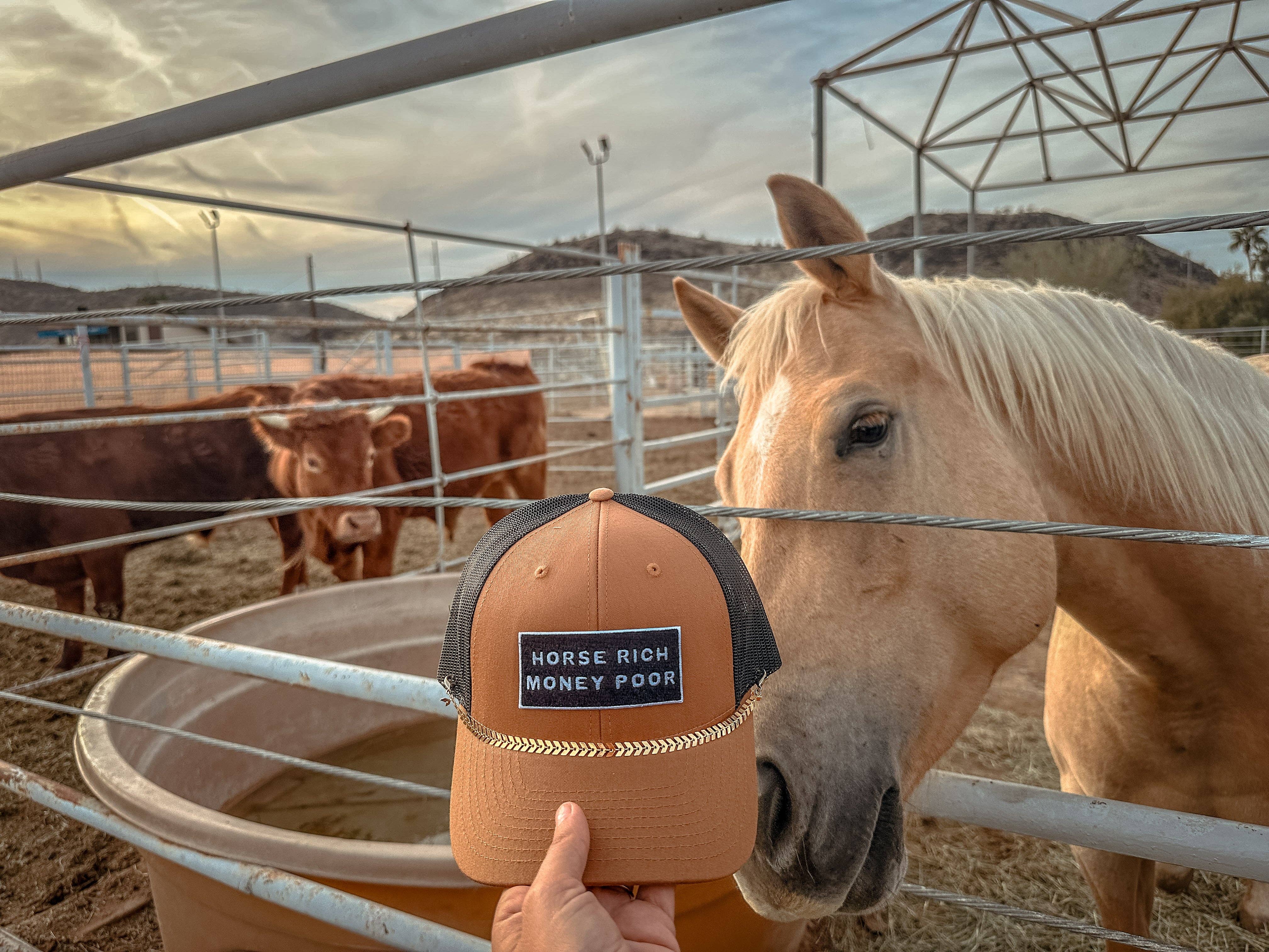 Modern Cowgirl - Horse Rich Hat