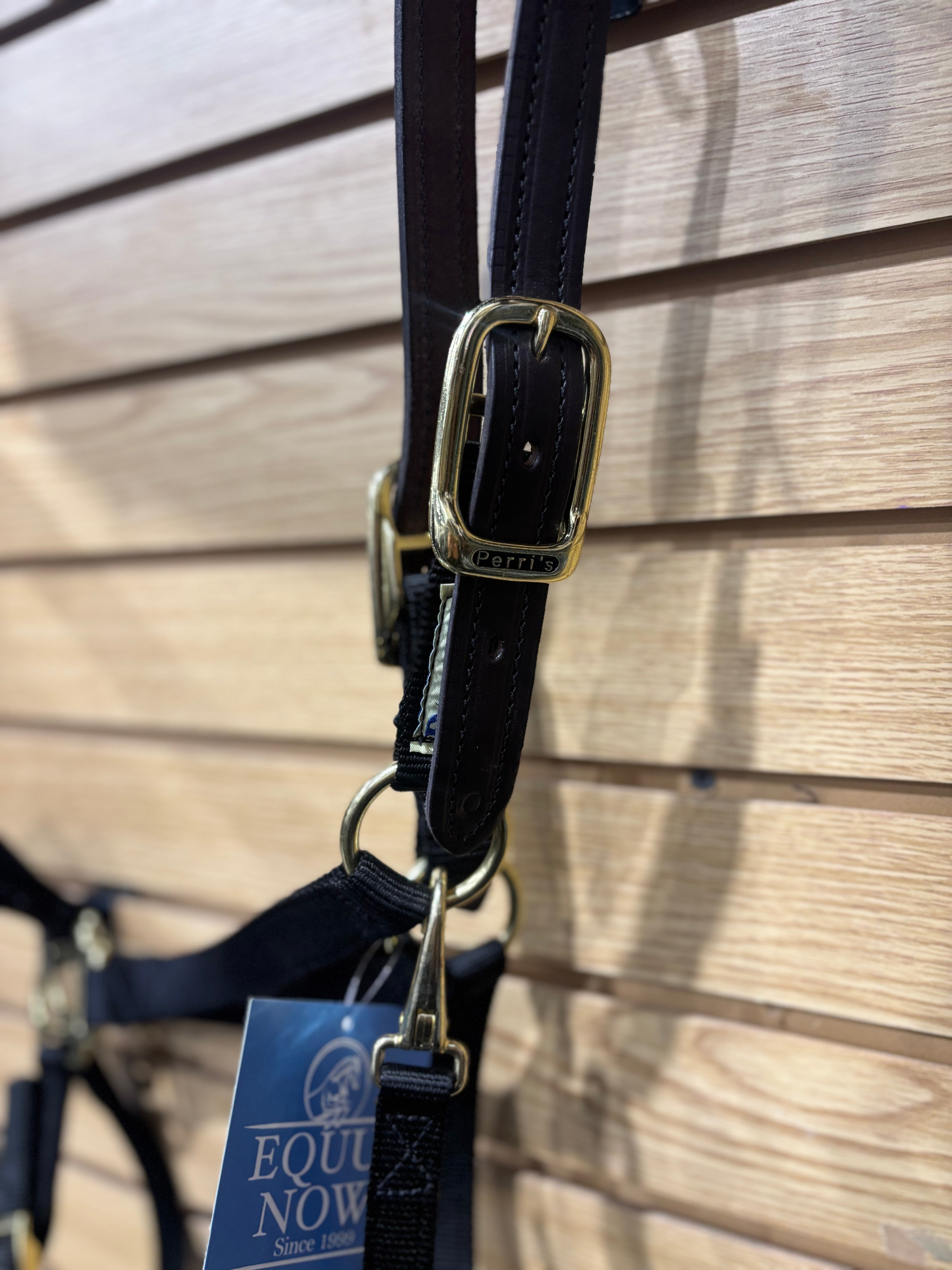 Used Oversize Perri's Halter