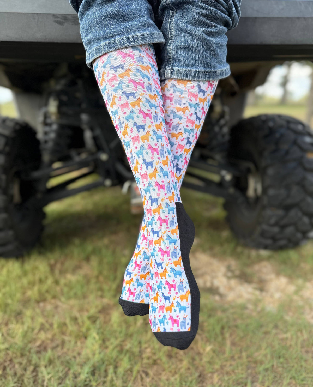 Red Barn Socks - Donkey Business