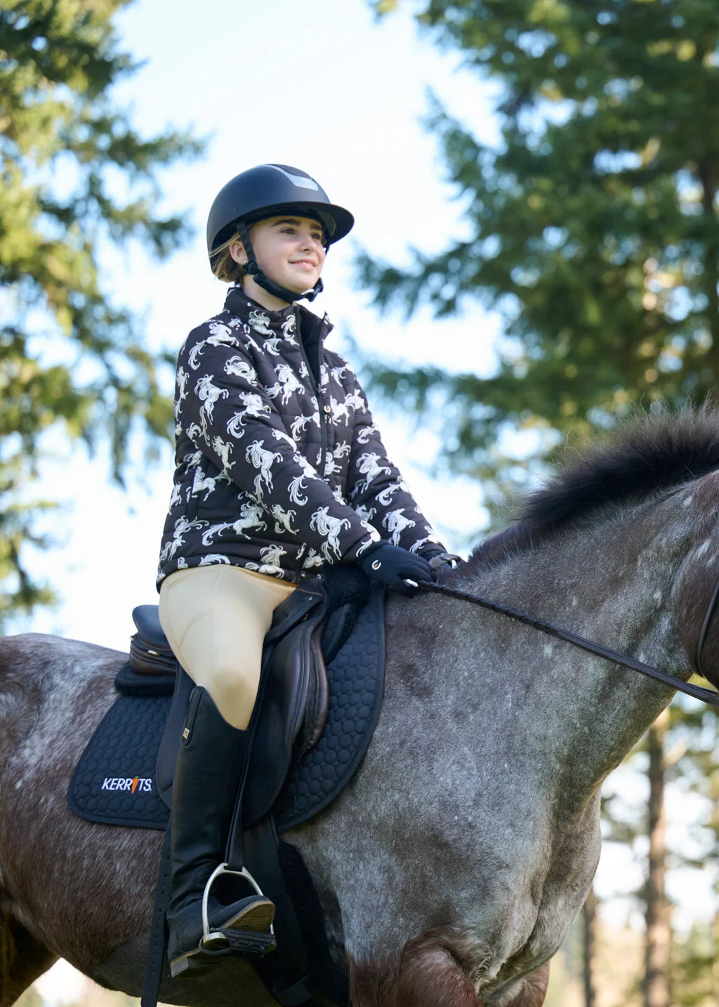 #color_Black/ Black Horse