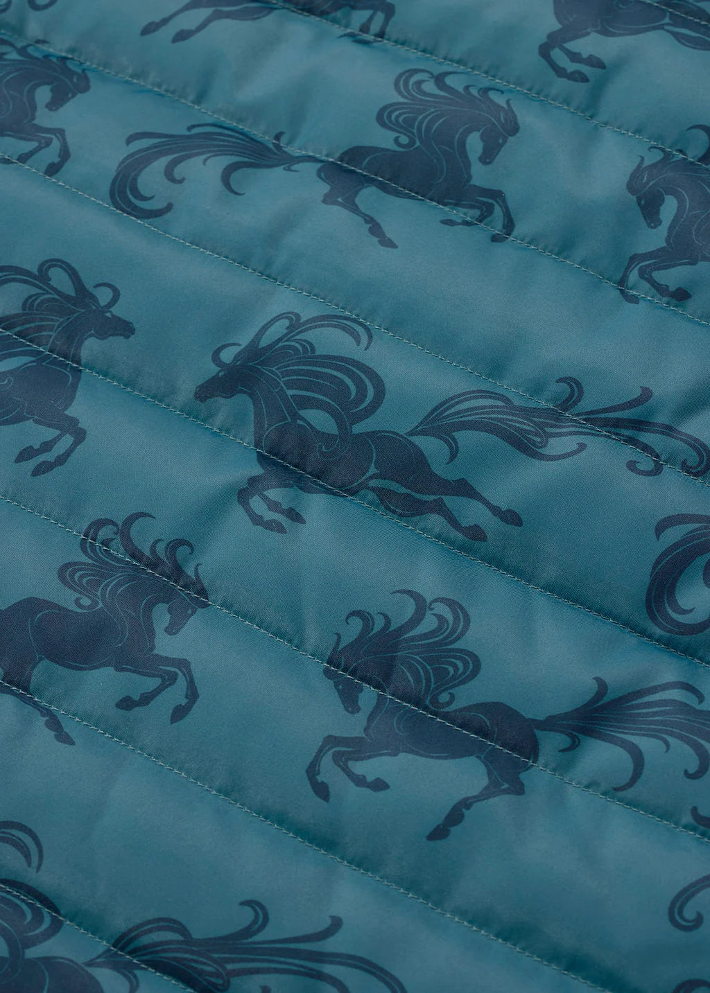 #color_Nightfall/ Jasper Horse