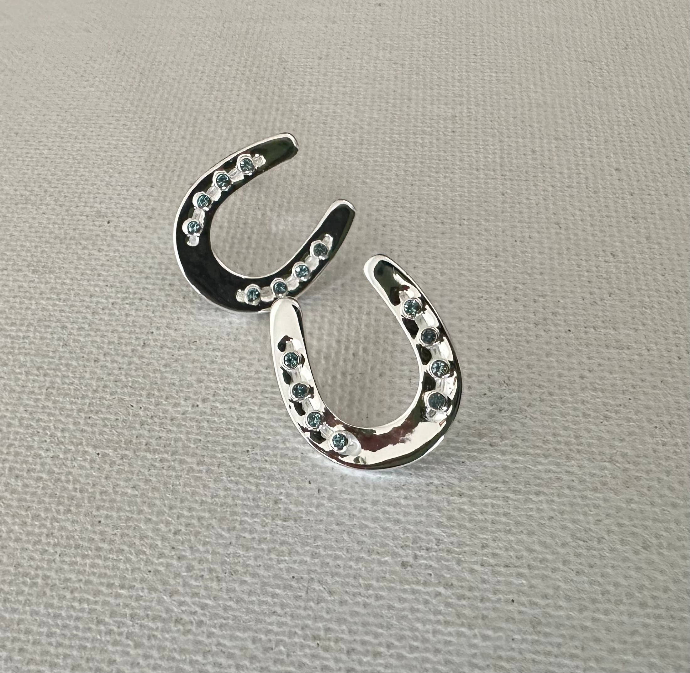 Horseshoe w/Aqua Crystals Earrings with Post