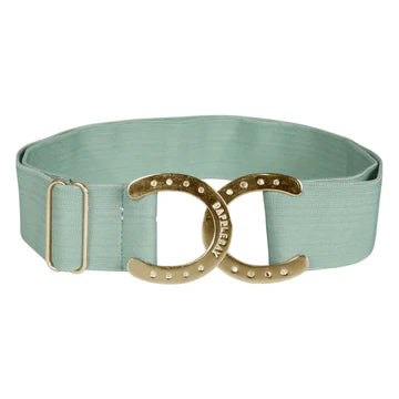 #color_dusty teal/gold