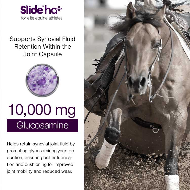 SLIDE™ ha+ Equine Advanced Joint Lubrication