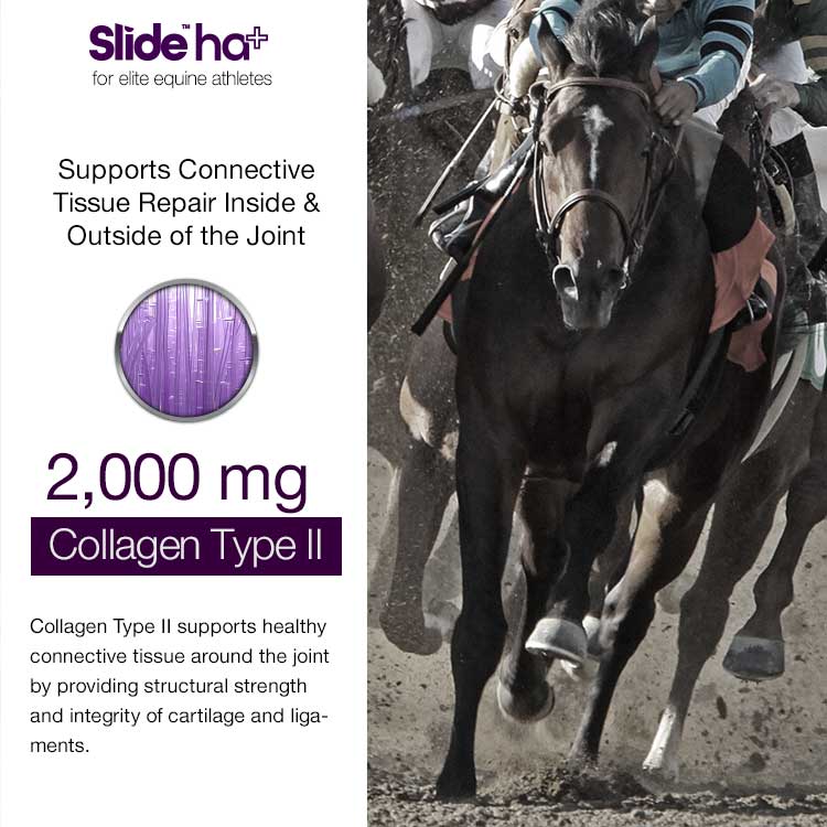 SLIDE™ ha+ Equine Advanced Joint Lubrication