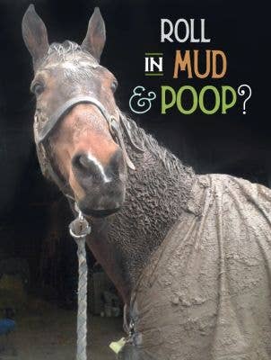 Horse Greeting Birthday Card / Roll in Mud & Poop