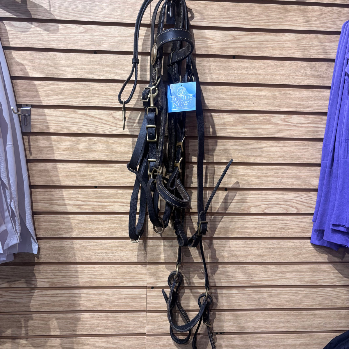 Used Brown Halter/Bridle Combo with Breastplate Set