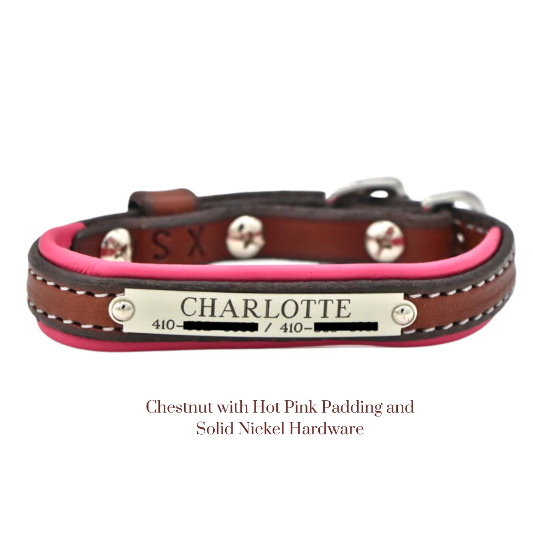 Custom Padded Dog Collar