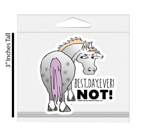 3" Tumbler Horse Sticker / Best Day Ever NOT / WATERPROOF